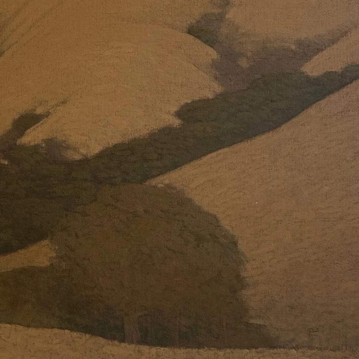 ON_BLACK_MOUNTAIN_DETAIL_EDITED.jpg