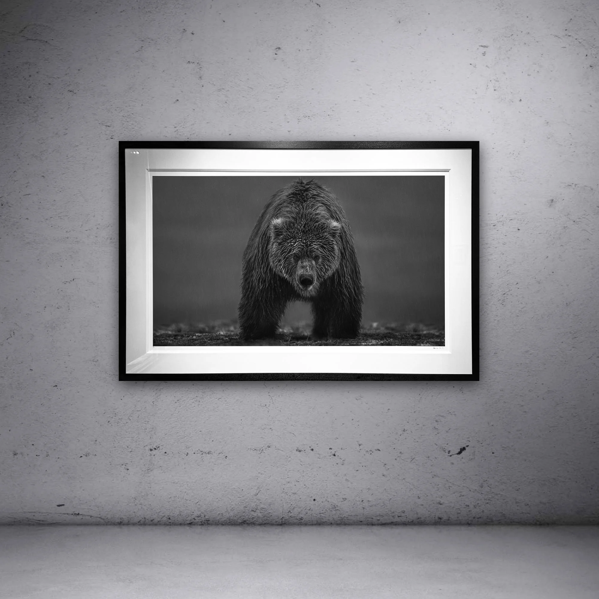 David Yarrow — Broschofsky Galleries