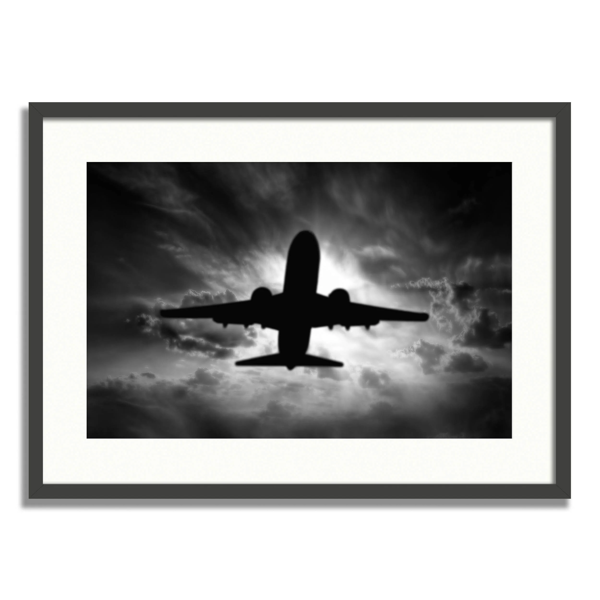 CA_SuspendedFlight001_15x23_Matted_CH.jpg