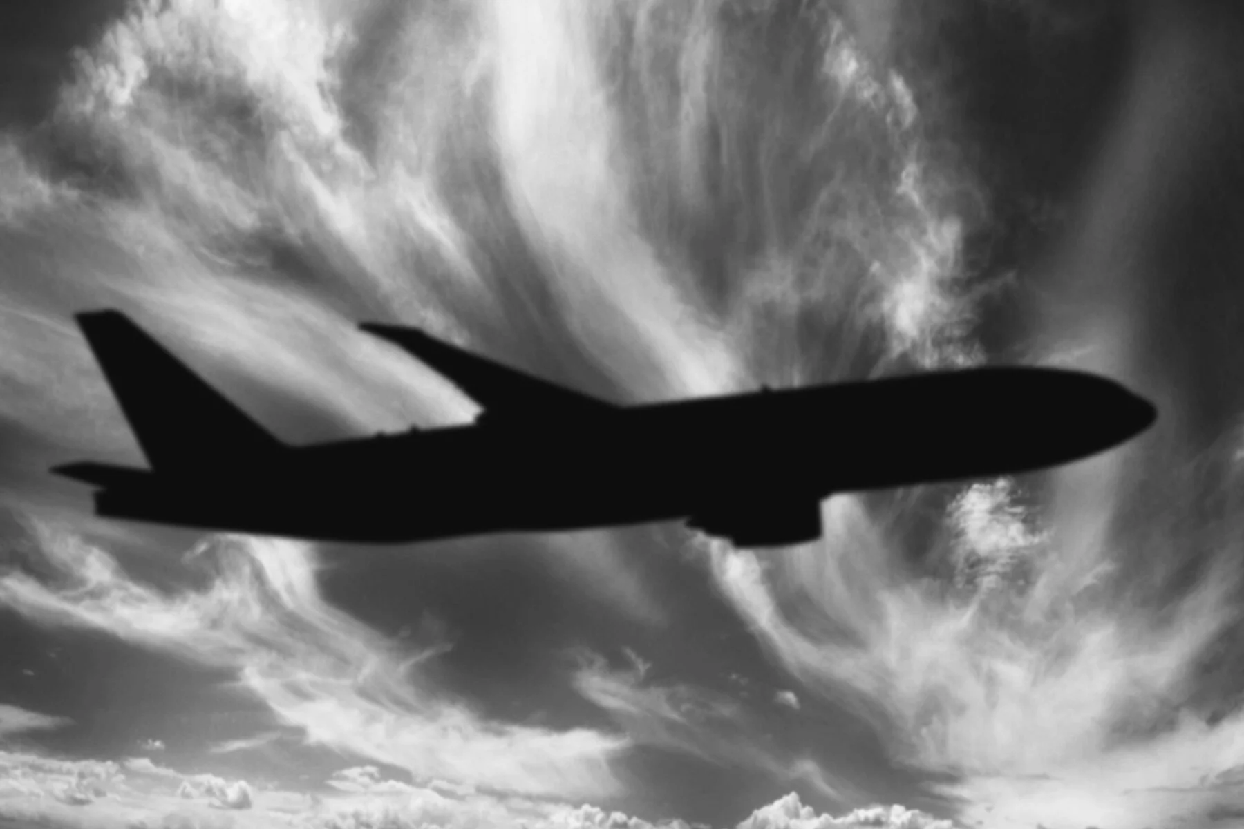 CLAUDETTE ABRAMS - Suspended Flight 002