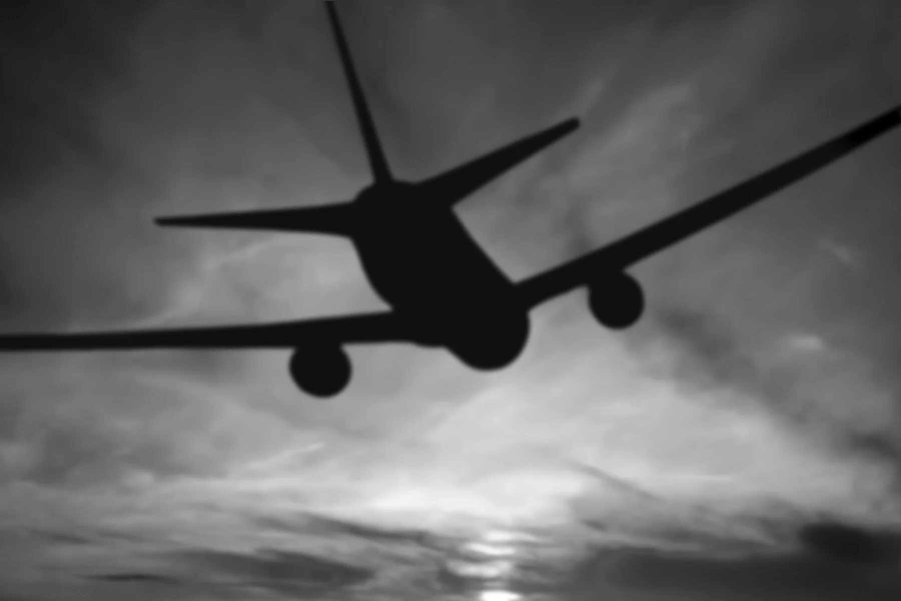 CLAUDETTE ABRAMS - Suspended Flight 003