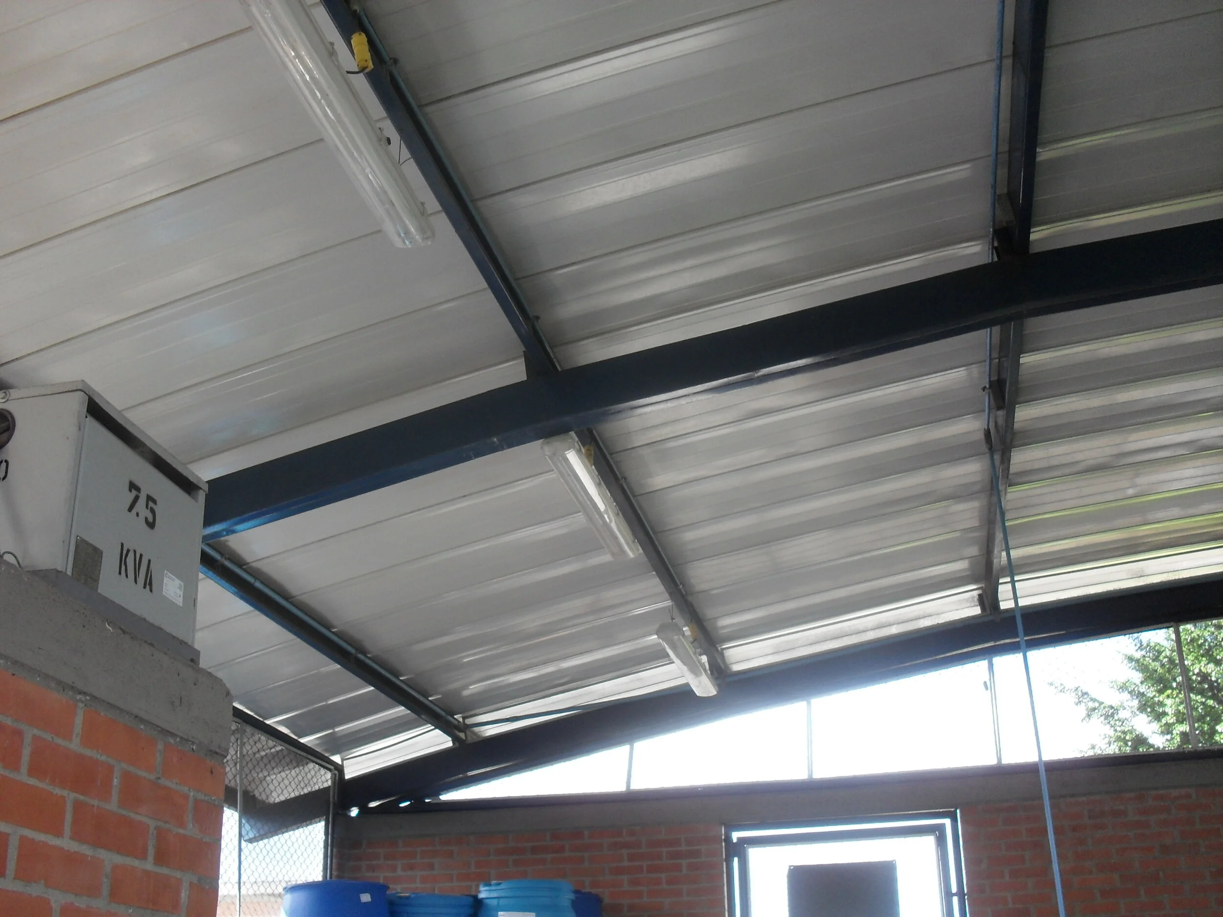 CAT ALPINA 2 - Copy.JPG