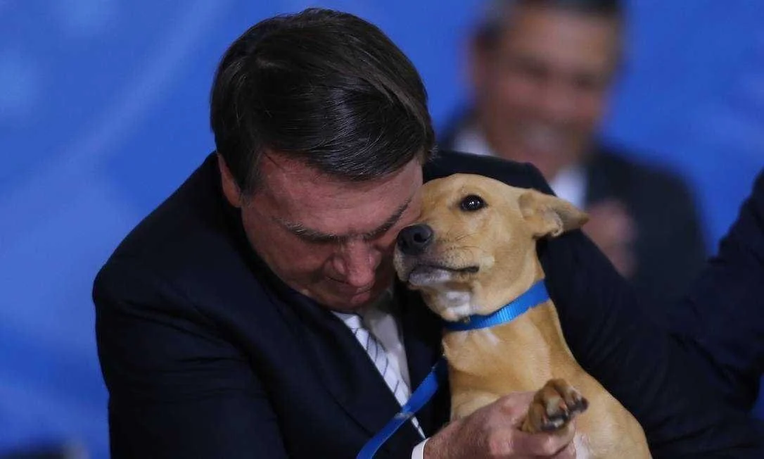Presidente Bolsonaro firma ley que sanciona duramente el maltrato a las mascotas