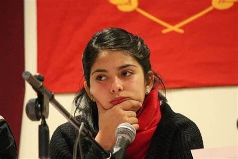 Comunistas apoyan la policía Mapuche al estilo de las FARC en Colombia