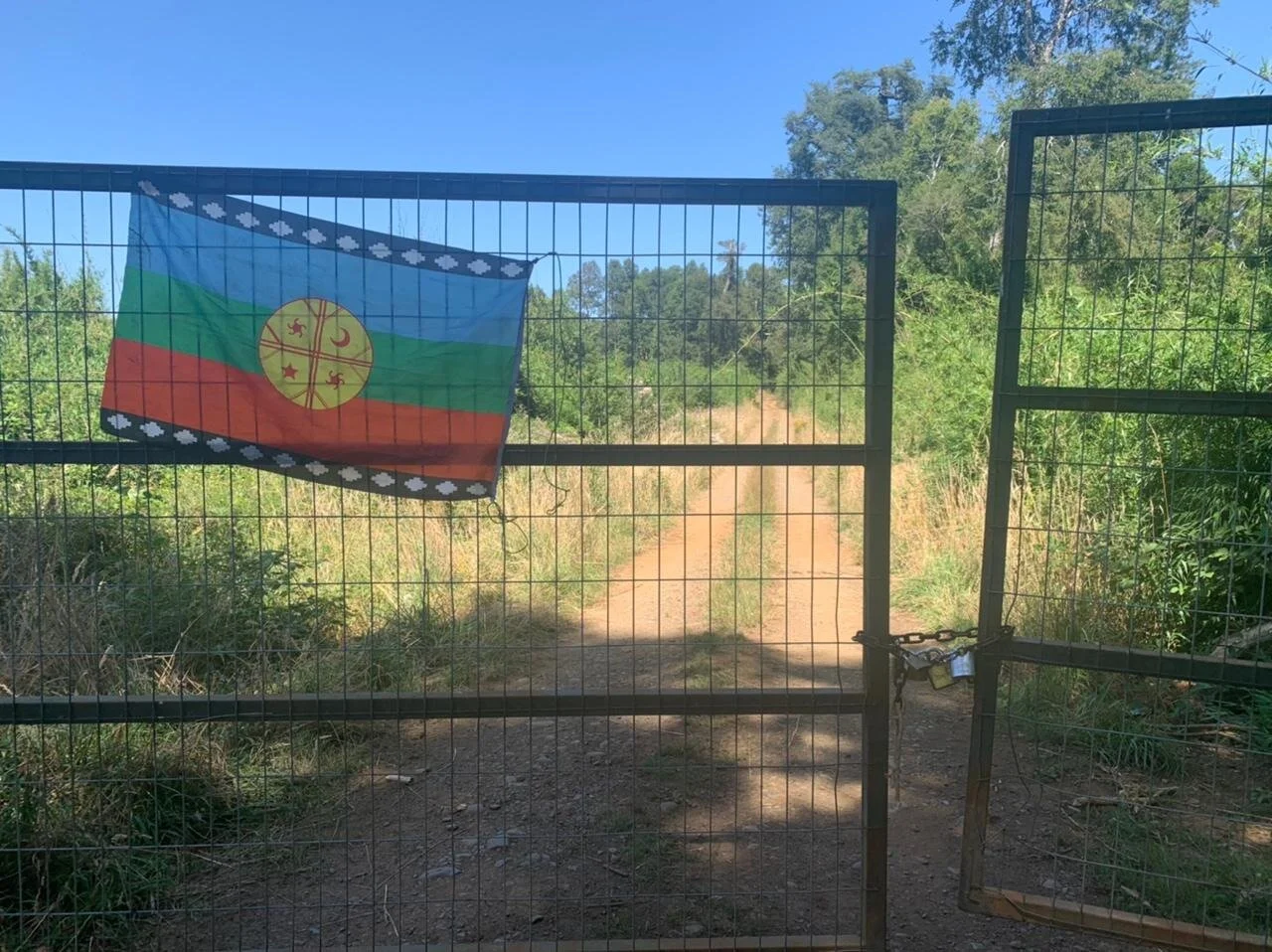 bandera mapuche.jpg
