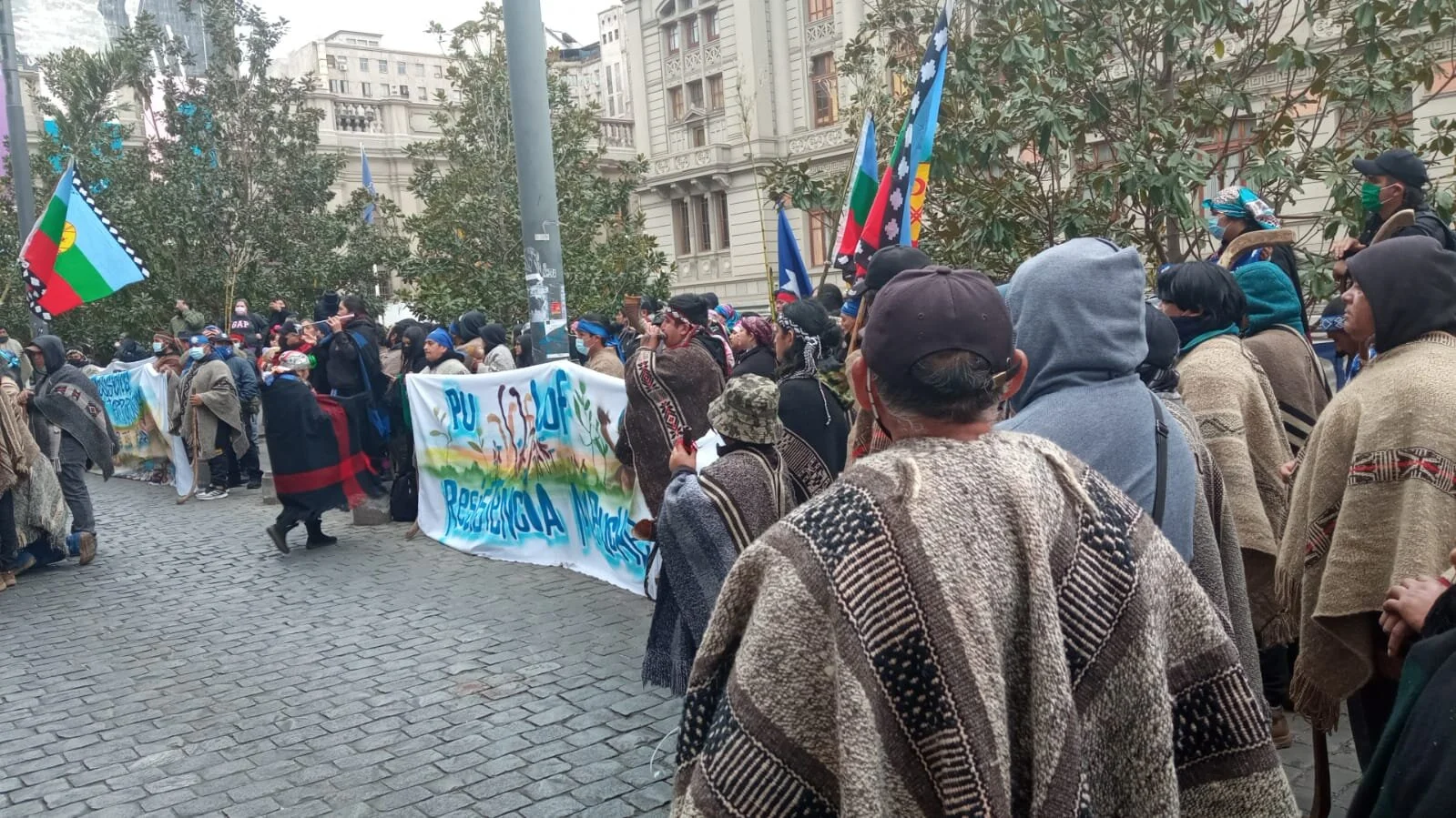 WhatsApp Image 2021-09-07 at 10.41.32.jpeg