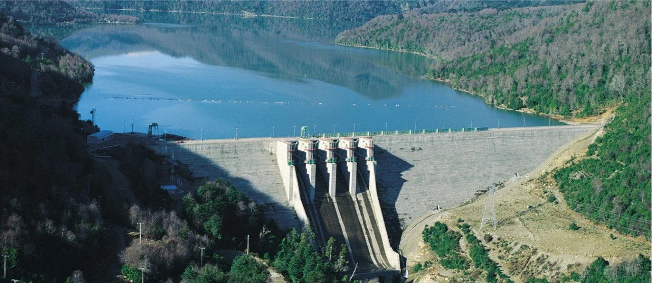 Enel por toma de central Pangue: “La continuidad operacional de las unidades de generación eléctrica y su integridad han quedado comprometidas”