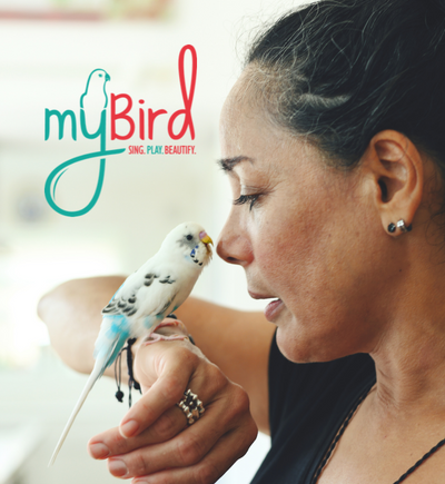 How Retailers Can Utilize the Many Resources available on myBird.com