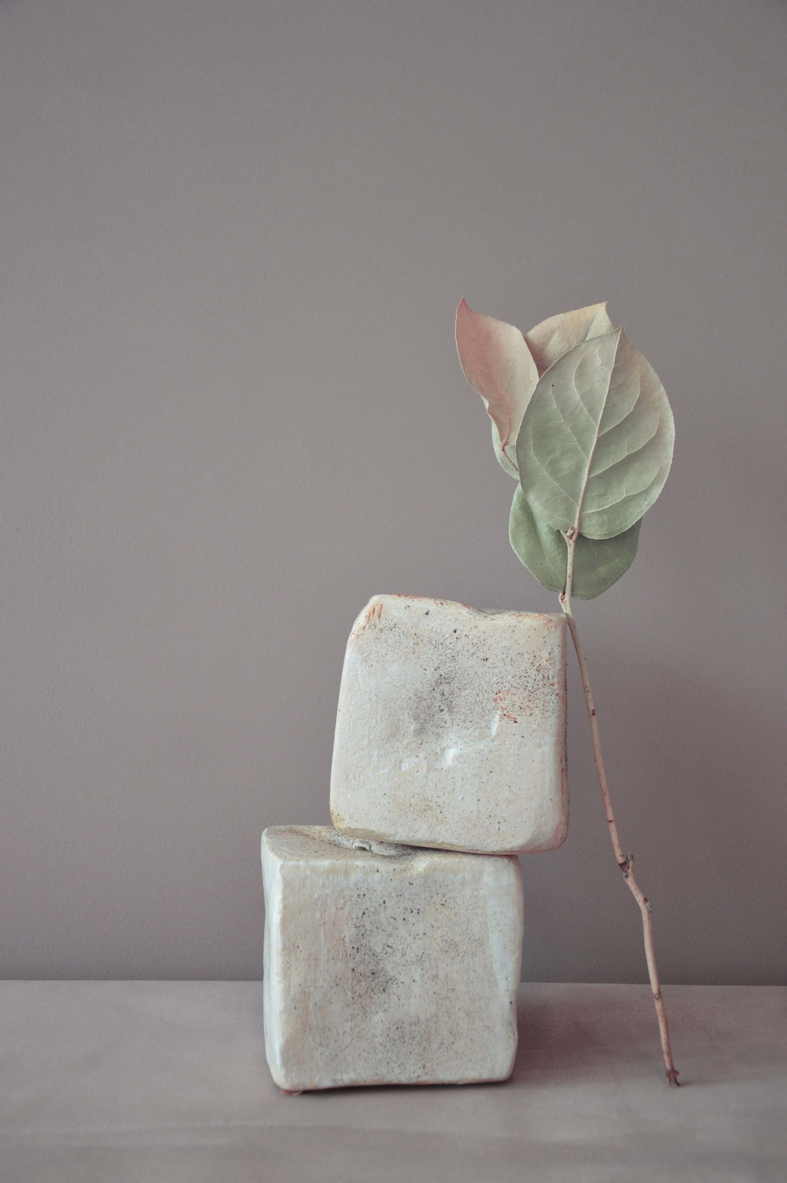 5AABBF10-8F5A-4CCE-8385-6EAEE0F8C3B1