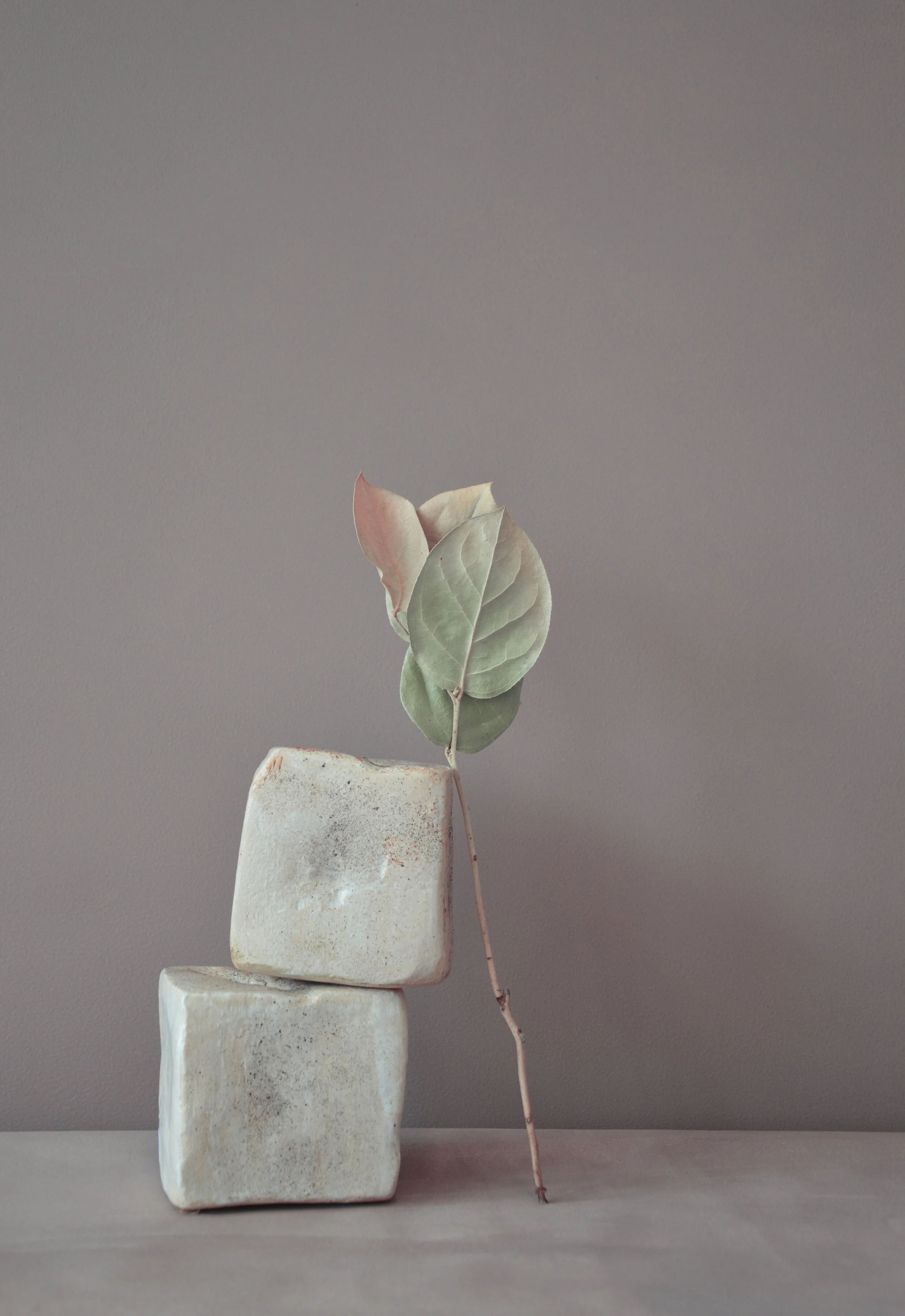 7CE512F8-BB5B-43F5-86E8-62D2AE99D272