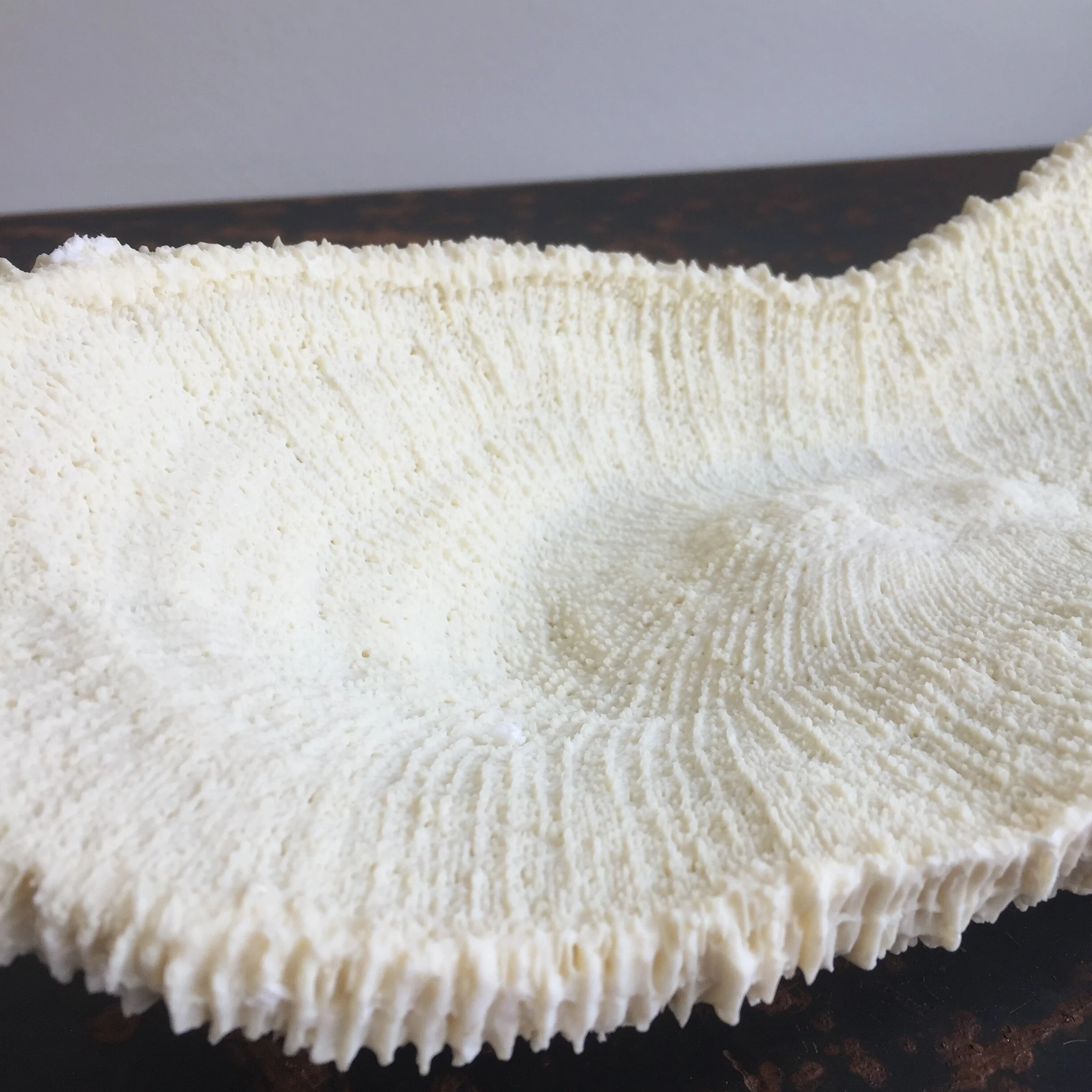 BDD7CBA8-009E-4062-8892-5AFA951CEF73