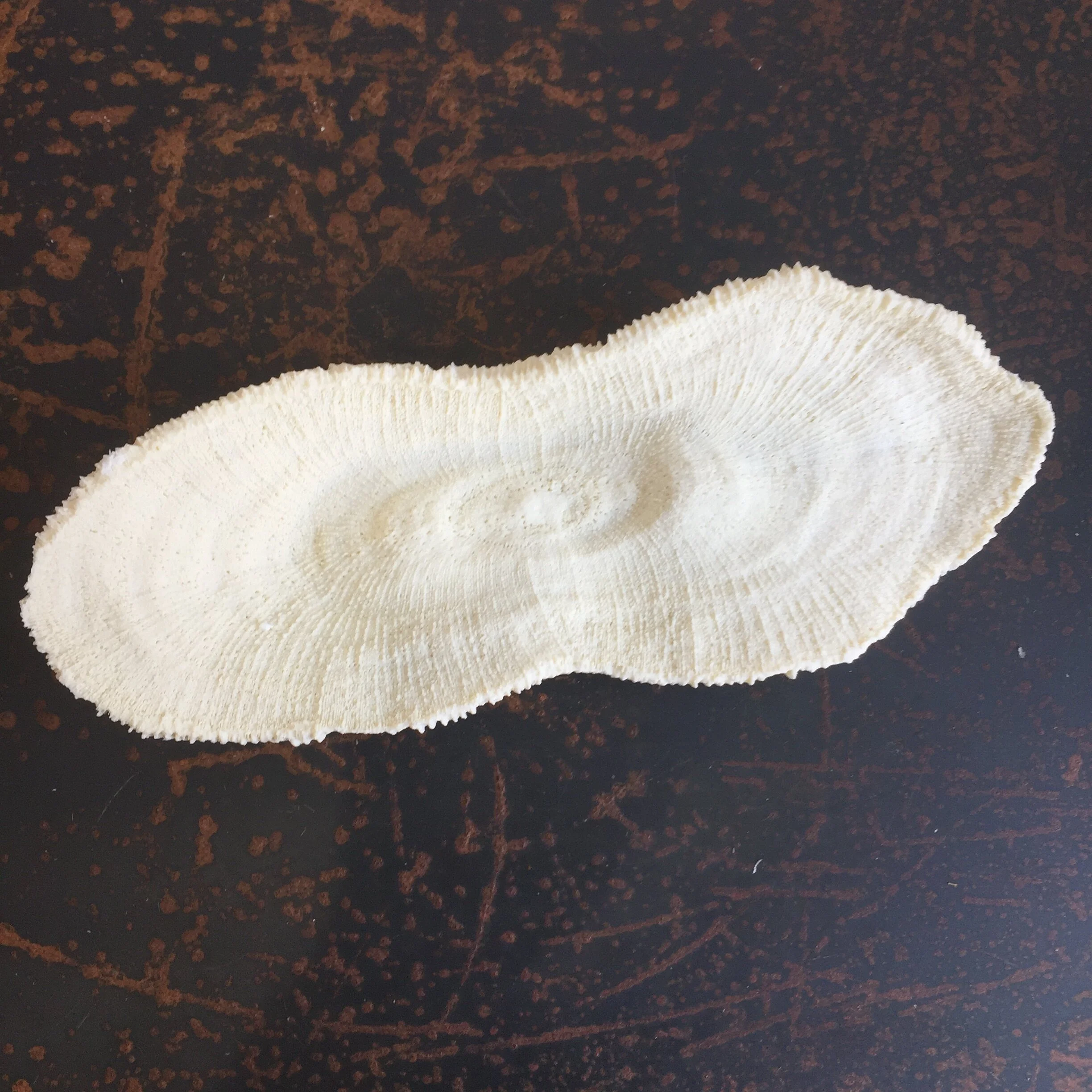 303EFE80-887C-43D1-9DB4-80490E9DA67B