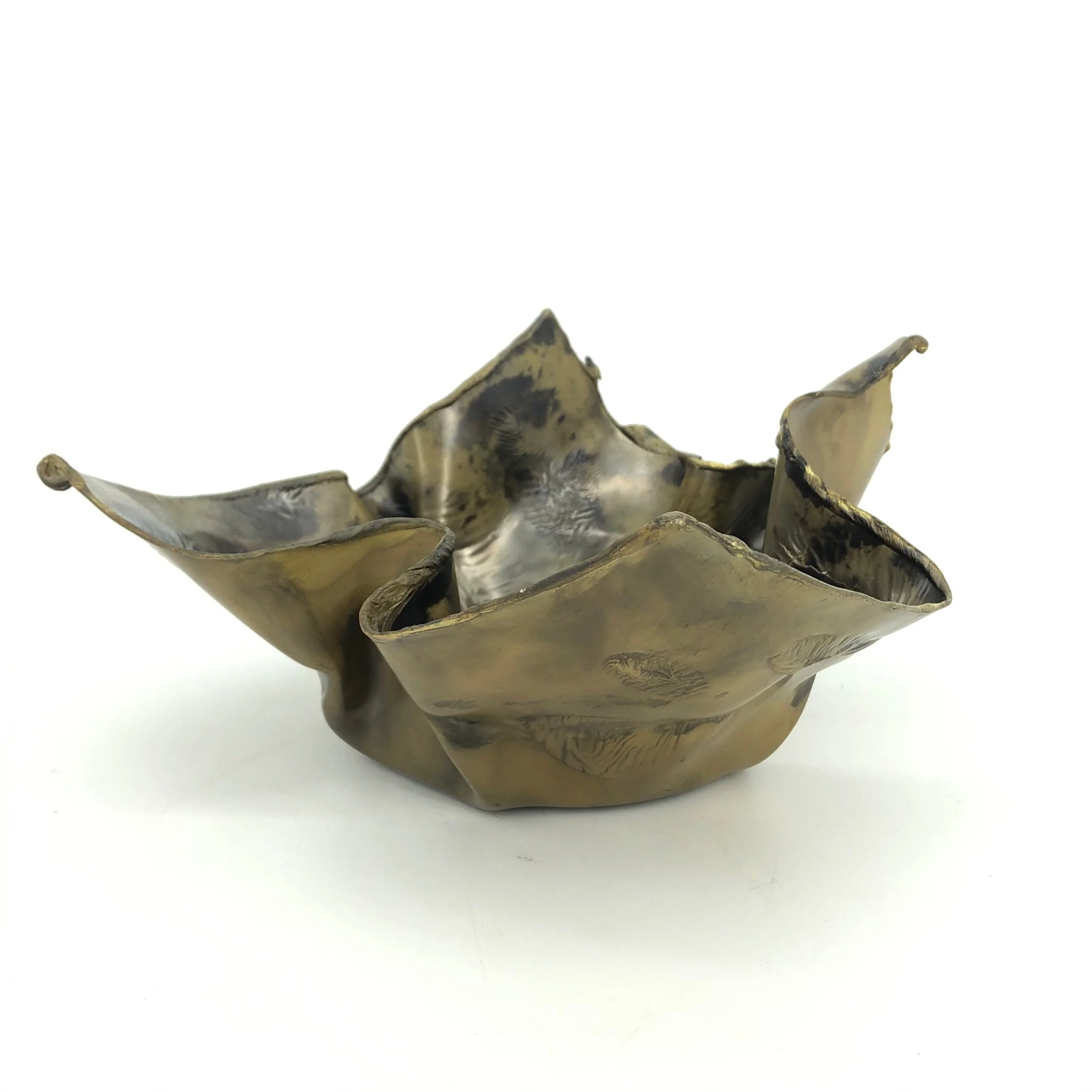 D1112571-811B-43C3-8C0A-60E021282D23