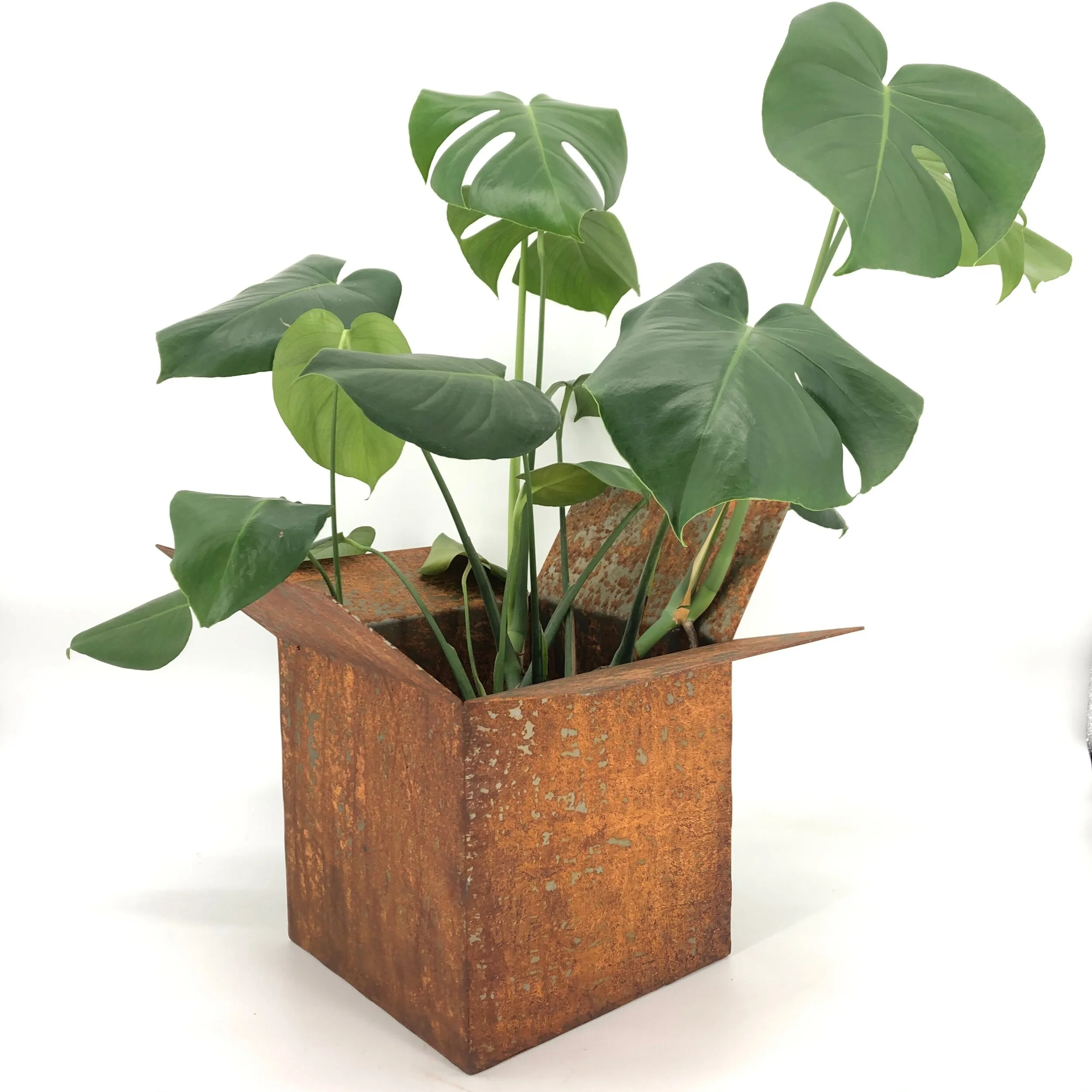 3AE1EA39-4322-4470-99A7-063CCEFB12B9