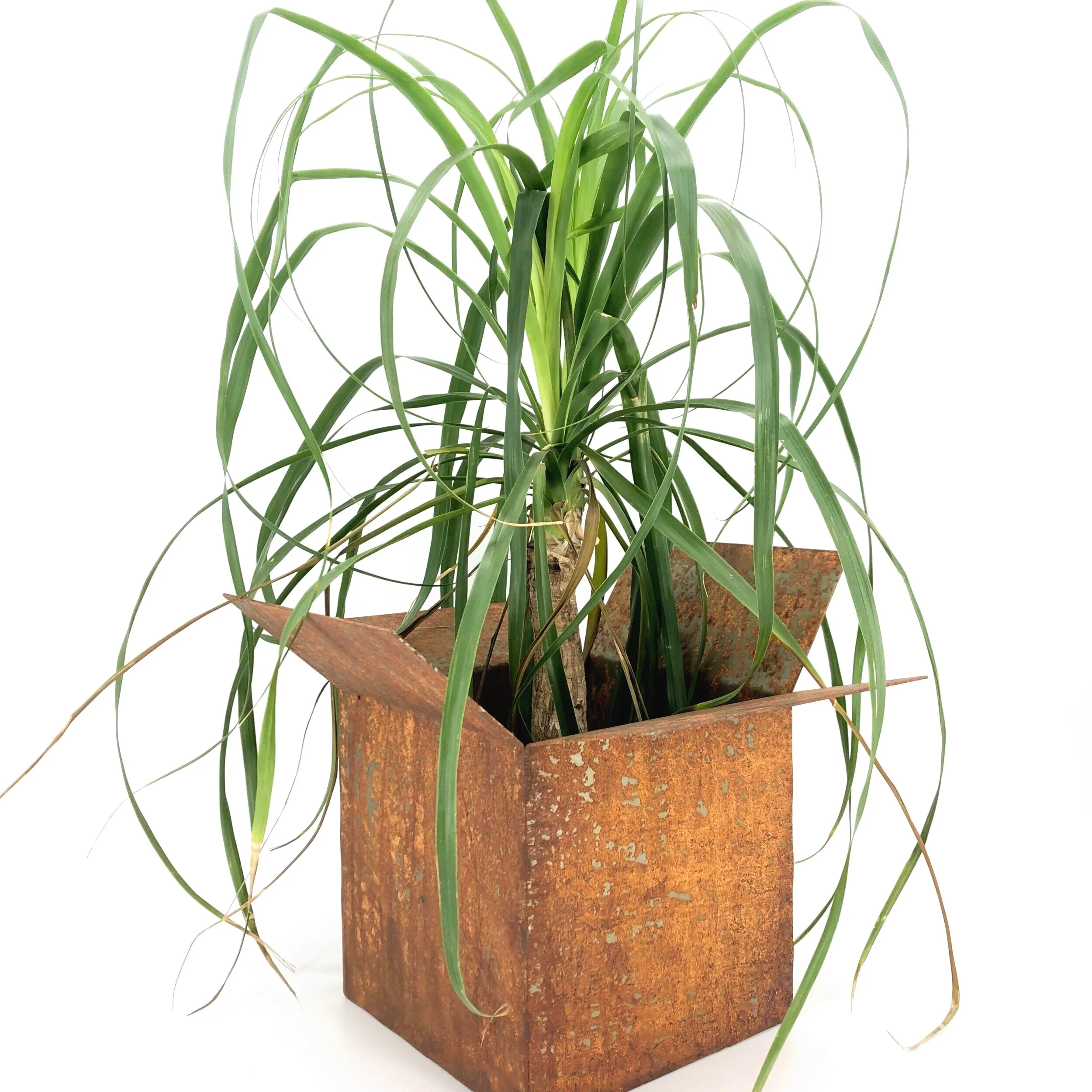 5BF5B77D-993D-4C95-84D9-6258AC2C74DF