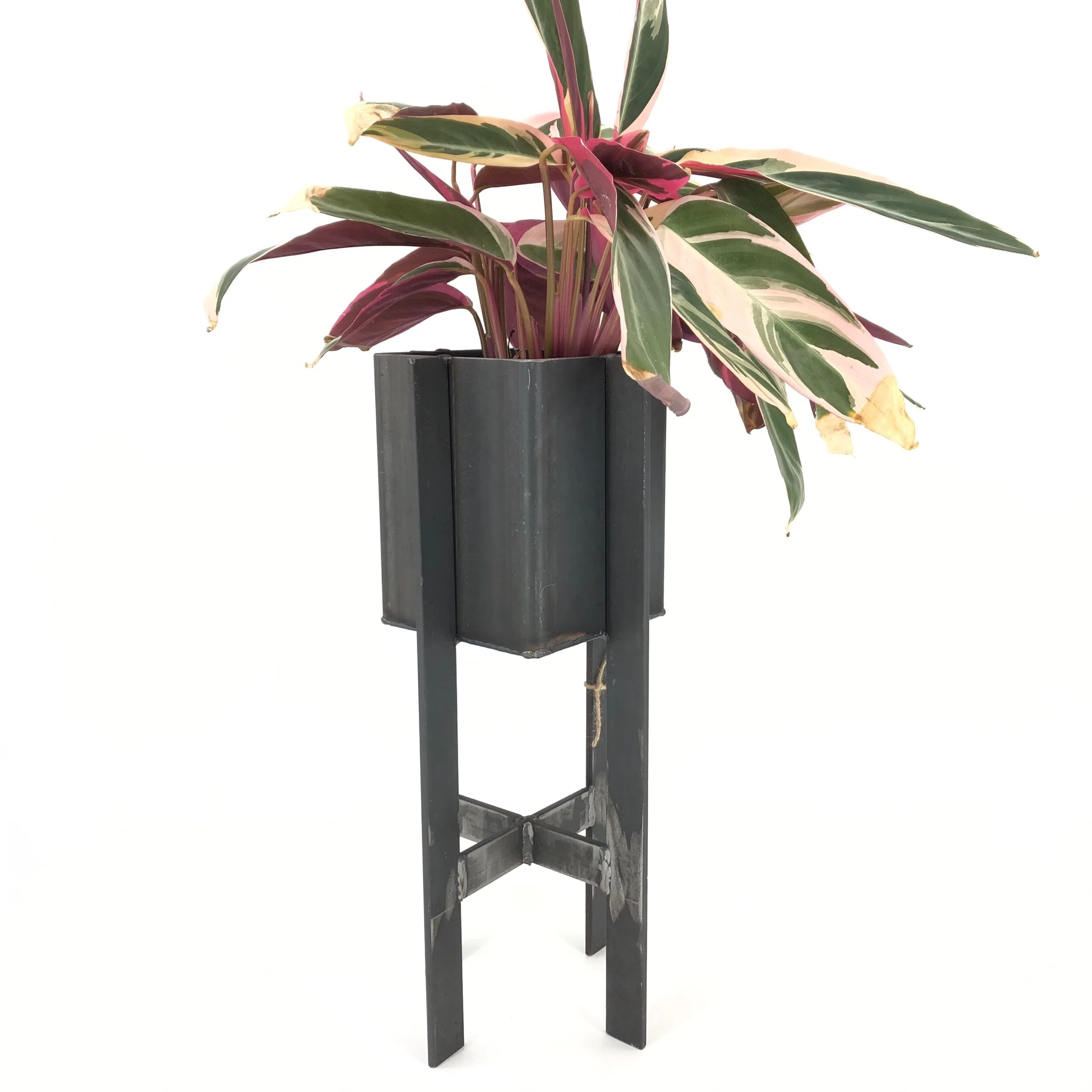 E60AEFB9-44F8-4437-9231-4B1514FA3B6A