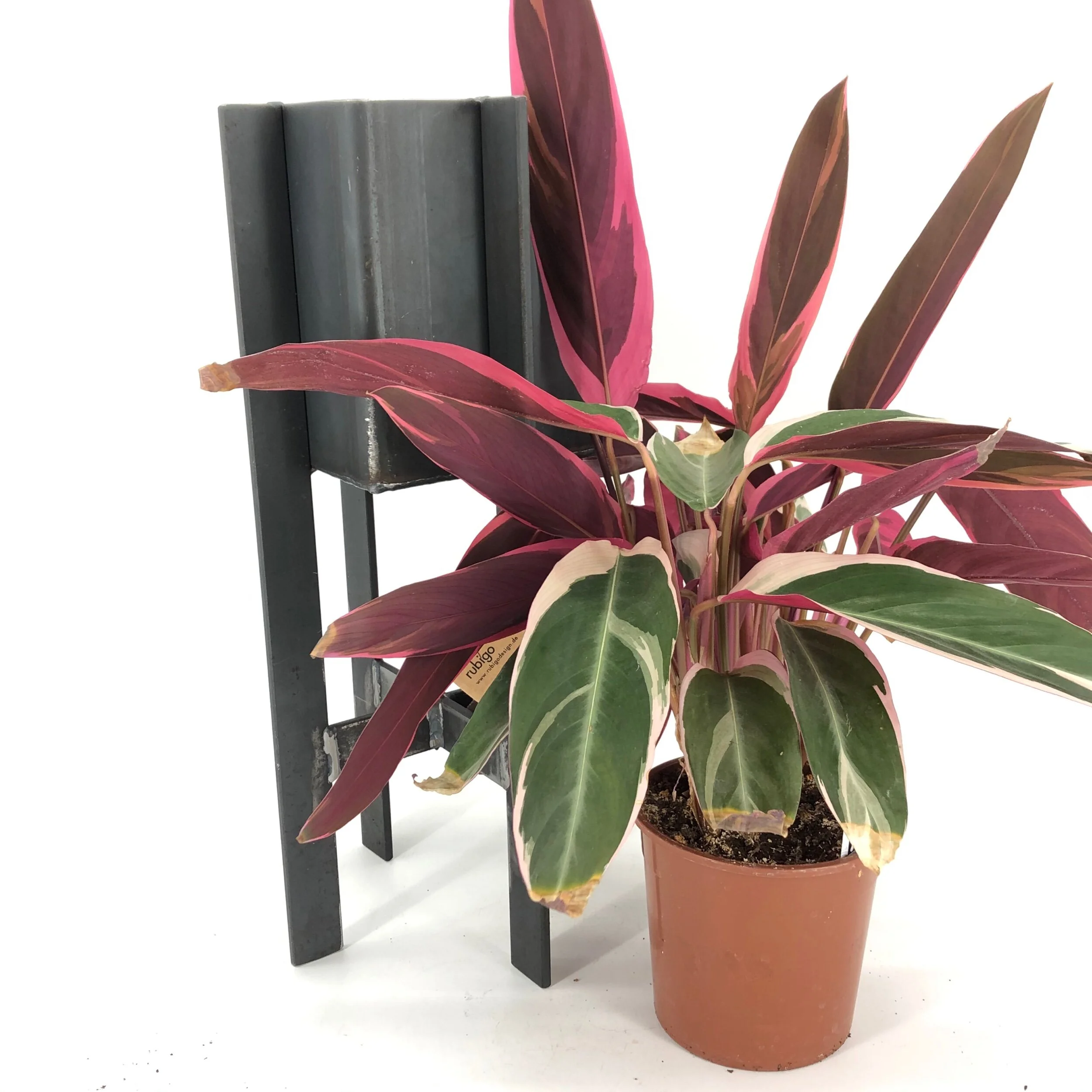 4AC440A4-FF71-489F-8438-03308384DF8E