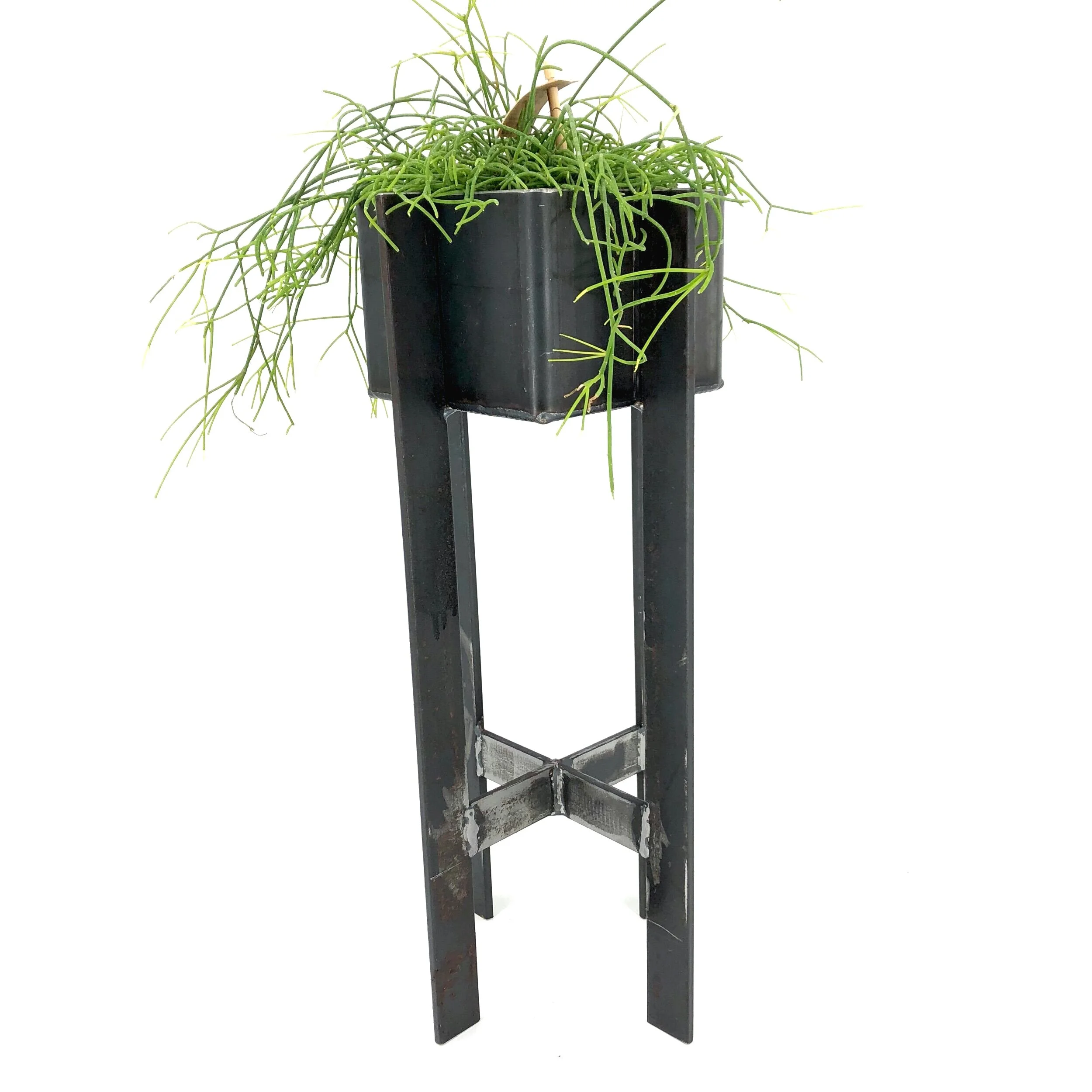 F2382FEE-D23C-418E-9854-766EC85AF8B4