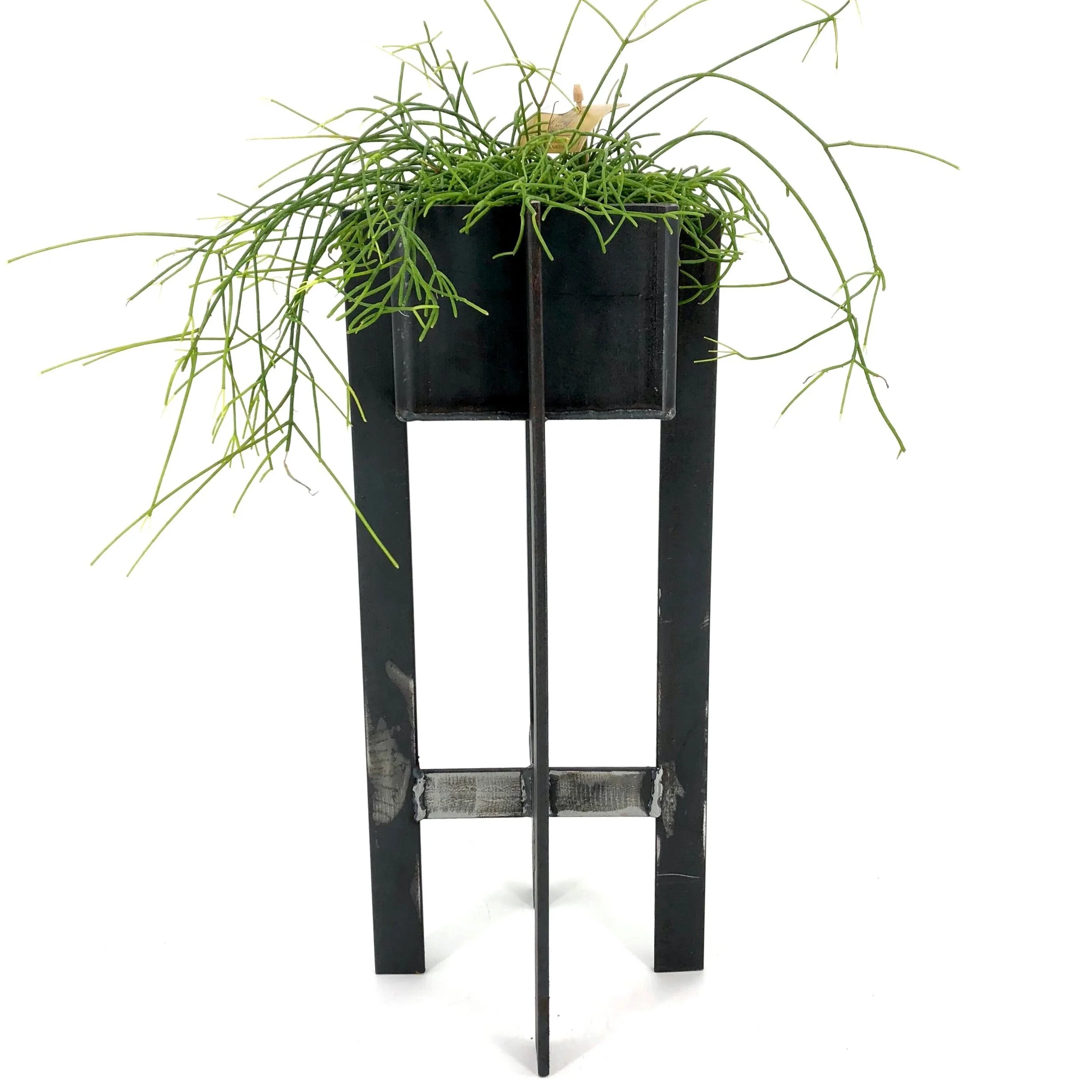 9CFC677B-D5F3-4361-8F92-C967AFE6C423