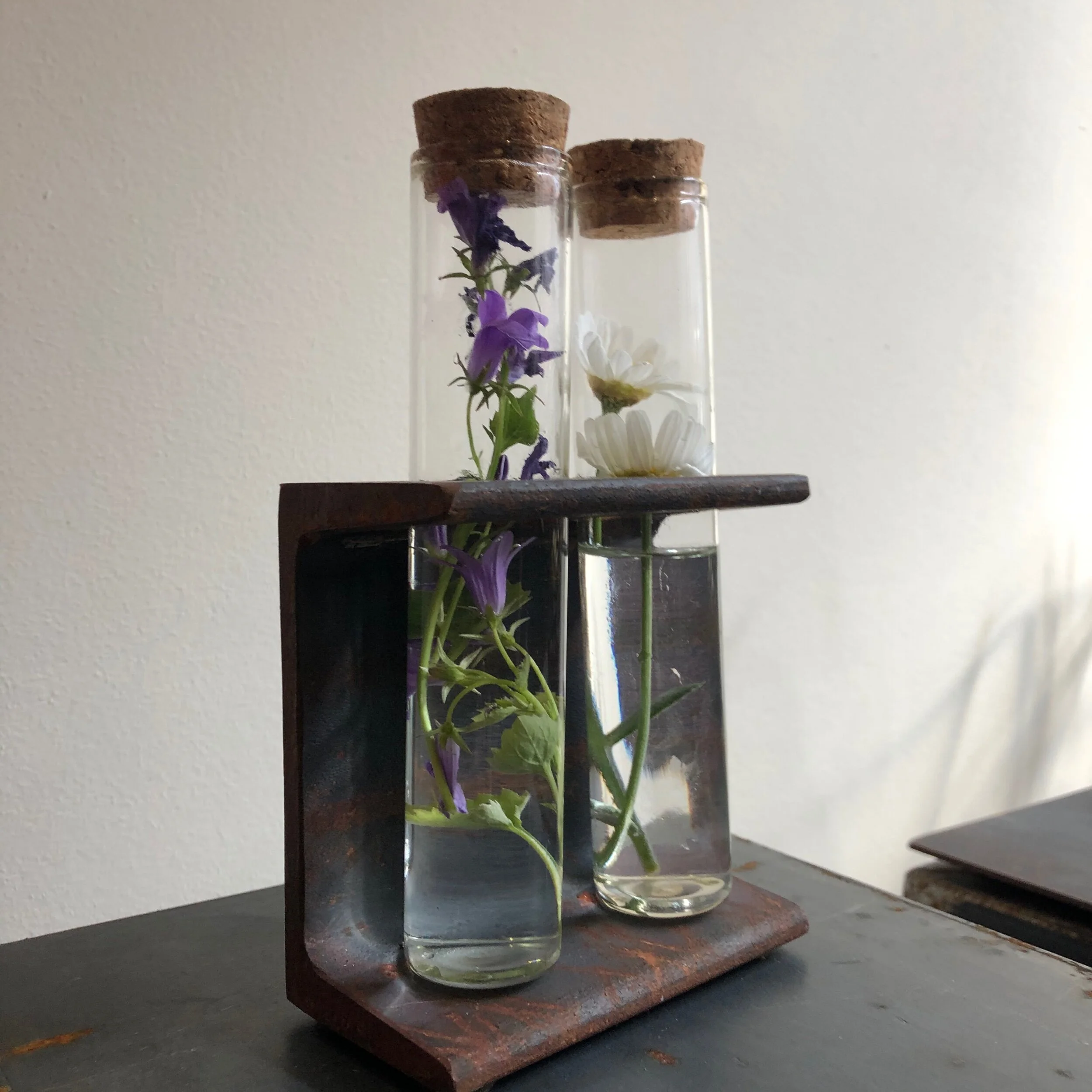 723D55EB-98EC-4B81-A68E-F9C982432361