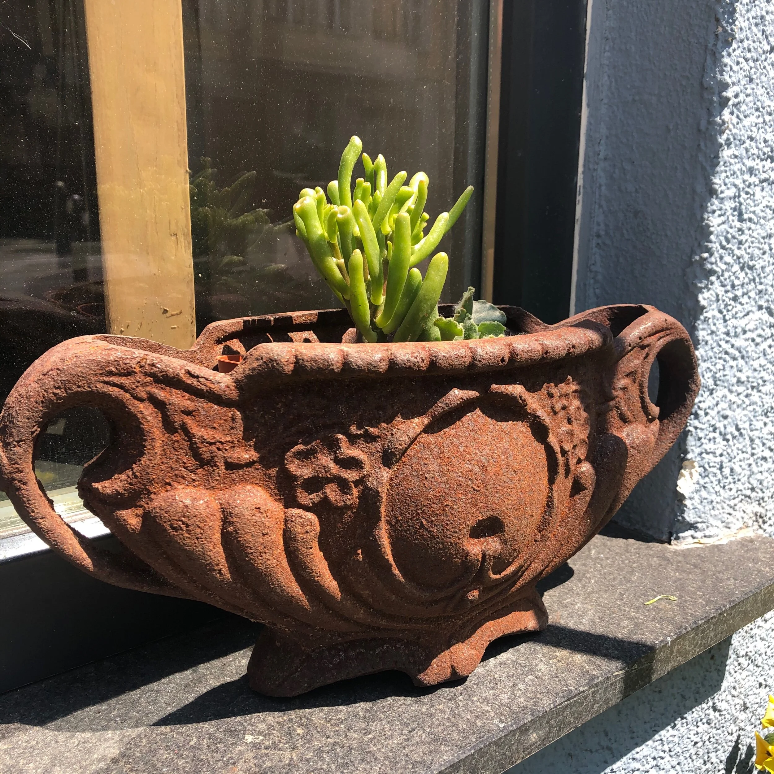 9846DC1E-105A-4736-9869-482F8676FE69