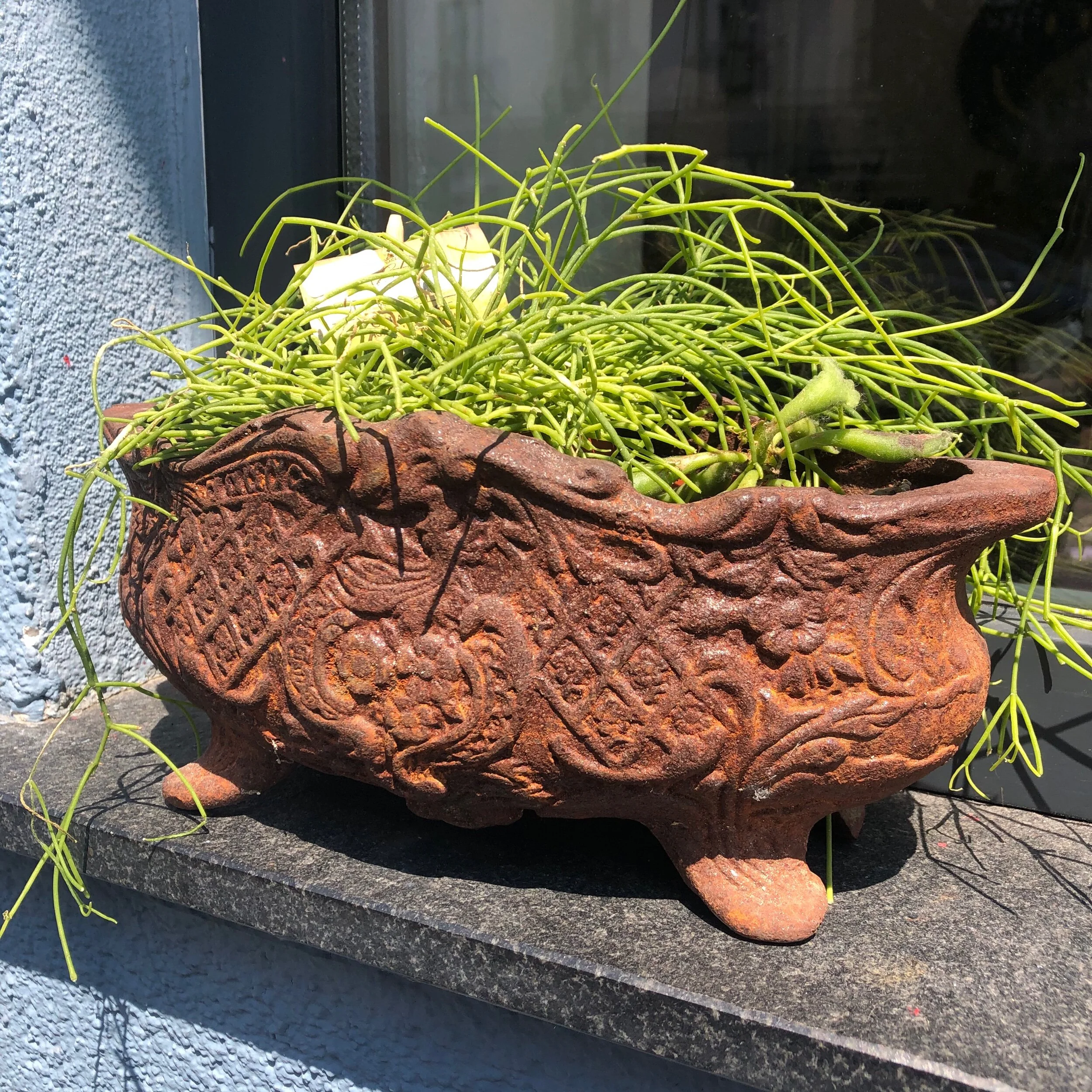 75C384AA-1DC7-463C-83D3-A31588C4E134