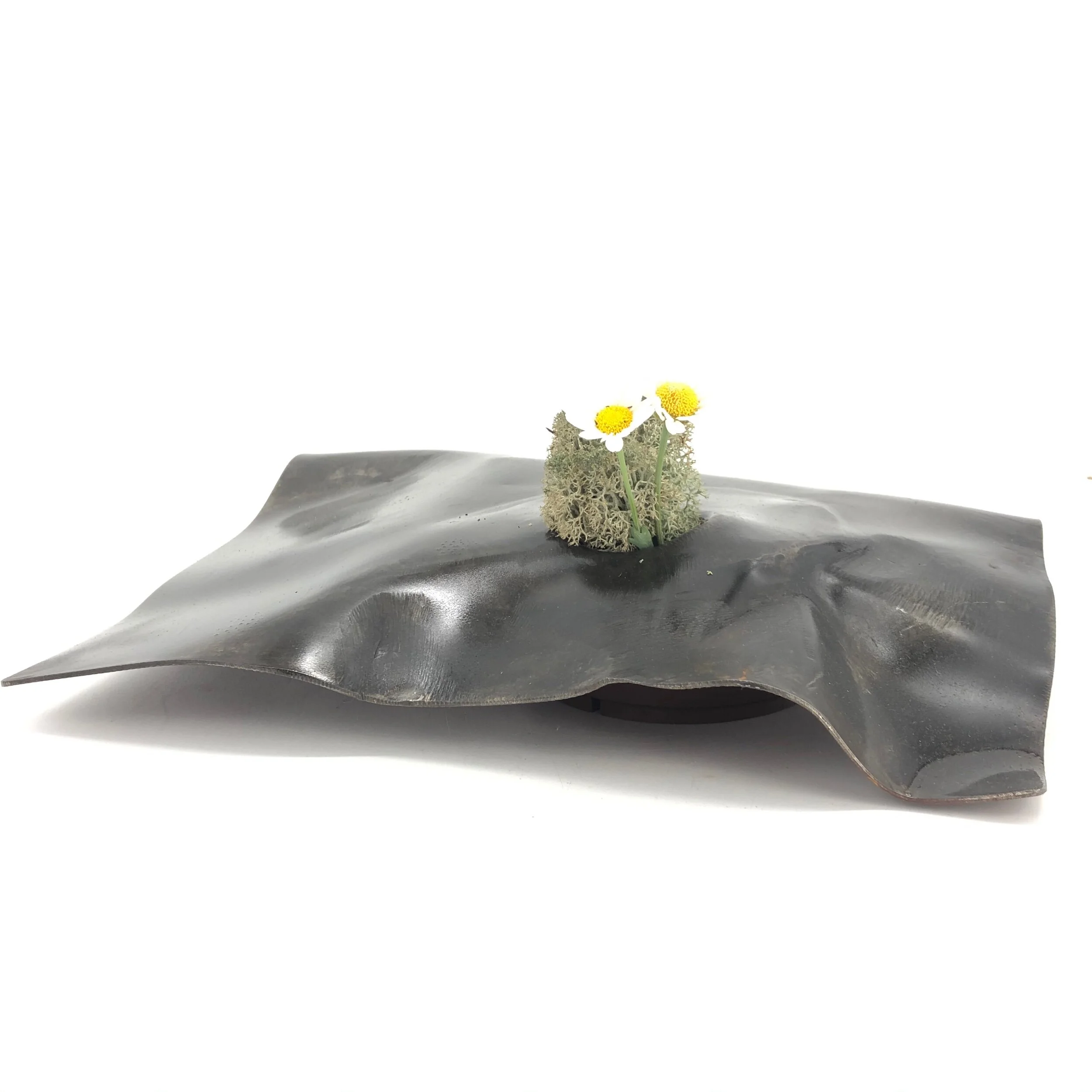 48E1AA14-E790-4451-A376-6ED01A873358