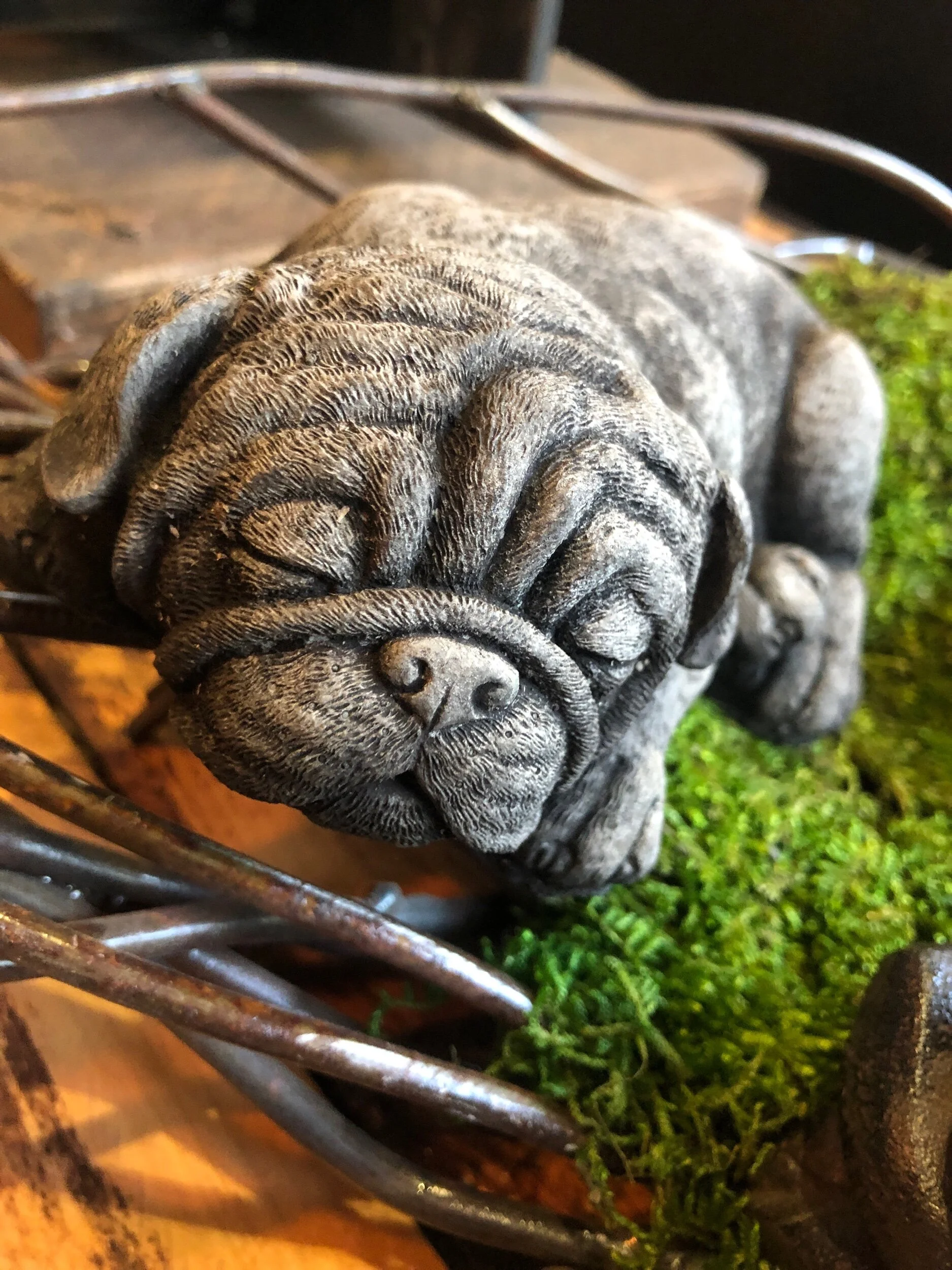 F2D42622-A074-4F5C-84AE-72210BA27C07