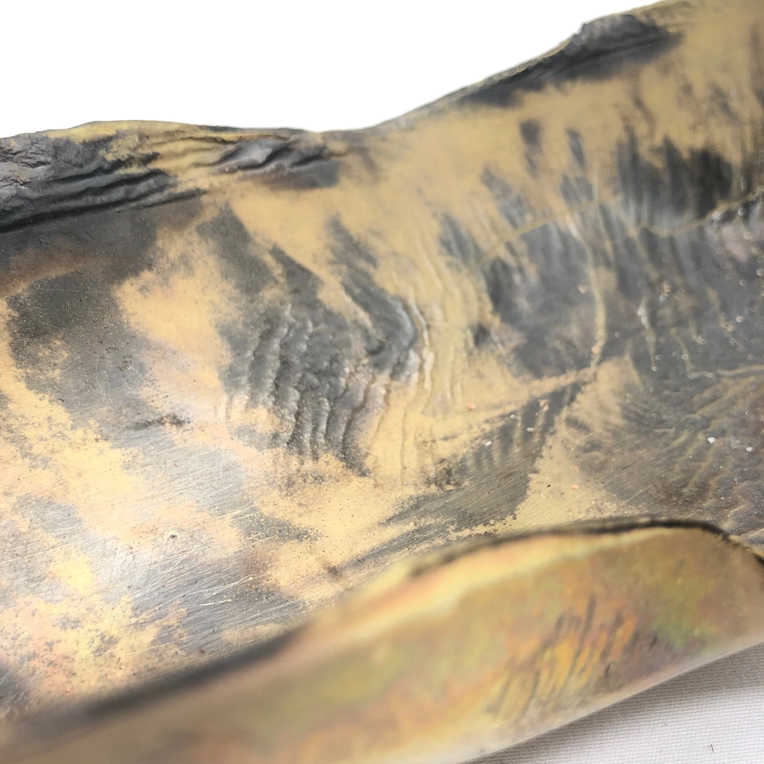 72F530DF-0099-405B-BA3C-67E09F70BC21