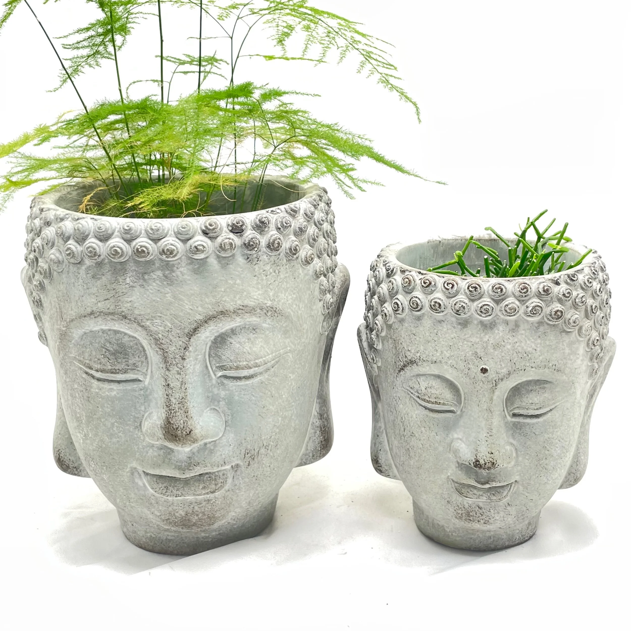 F4AED96E-CF48-420F-9F7E-56304F7A7269