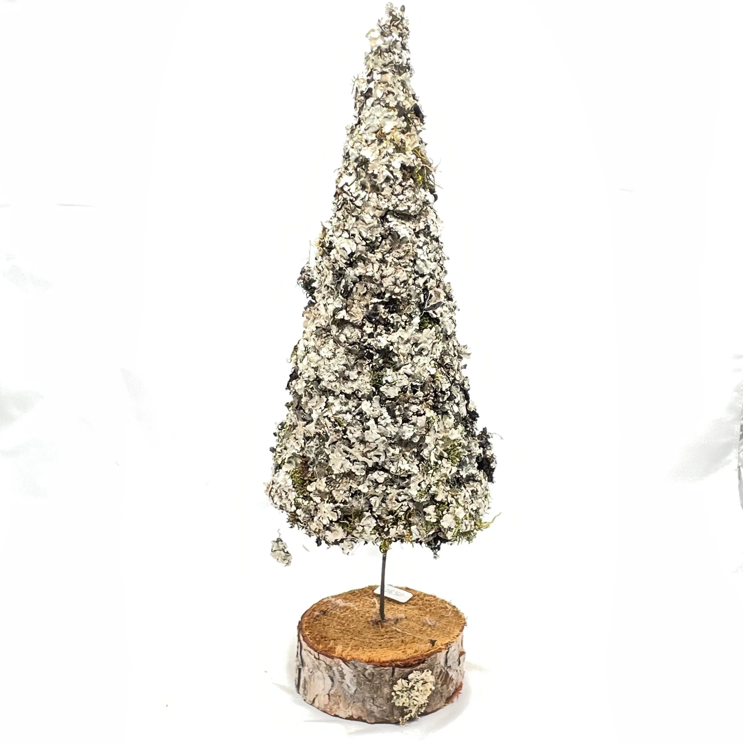 9DCC73D5-2F2F-41BD-9590-26D3B5E2351B