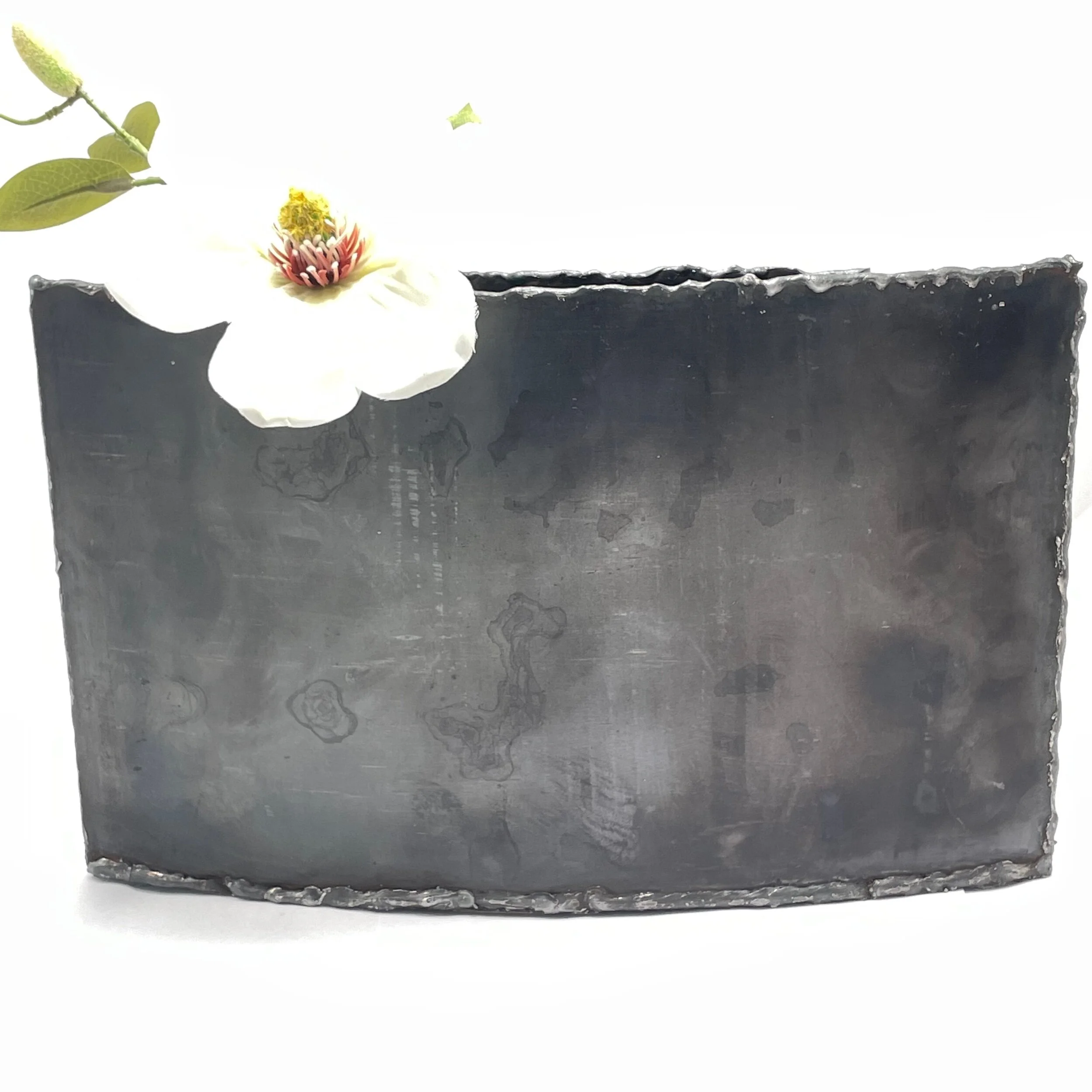 F1C68B8A-4293-4C76-BE59-589E54669D8A