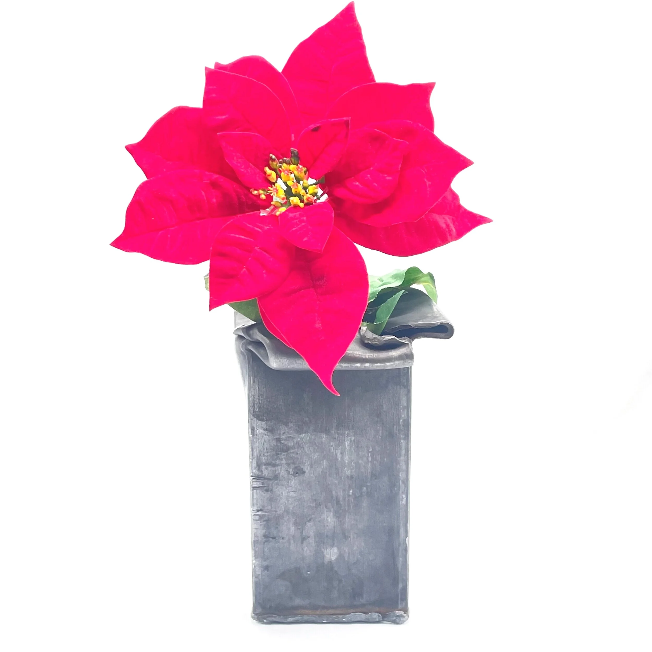 E5B36B10-351D-4203-8ACD-E03BCF731311