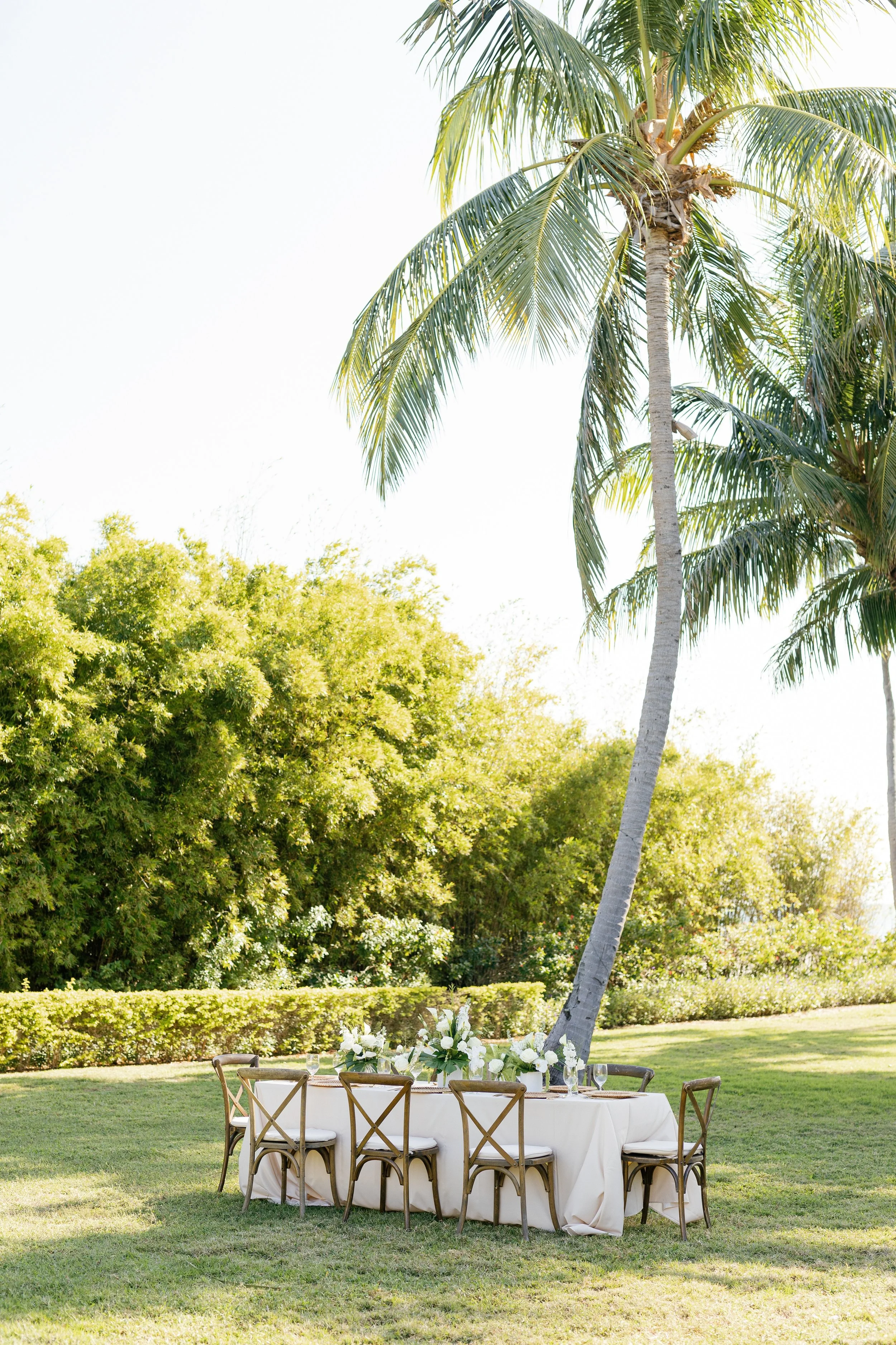 Outdoor dining table decorated with white flowers and glasses, set under a tall palm tree on a grassy lawn, with lush green trees in the background.