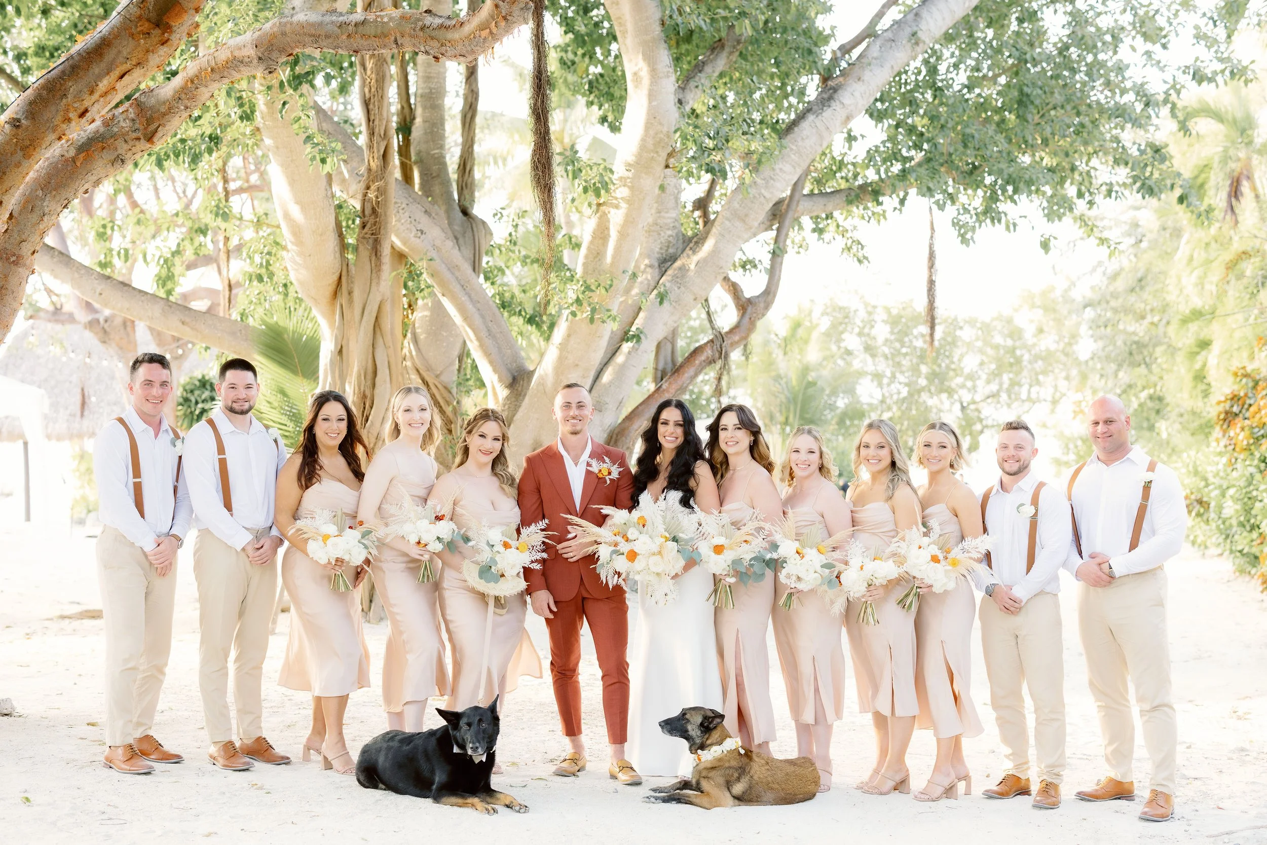 Wedding party outdoors, featuring a bride and groom surrounded by bridesmaids in beige dresses and groomsmen in beige pants and suspenders, posed under large trees with two dogs lying in the foreground.