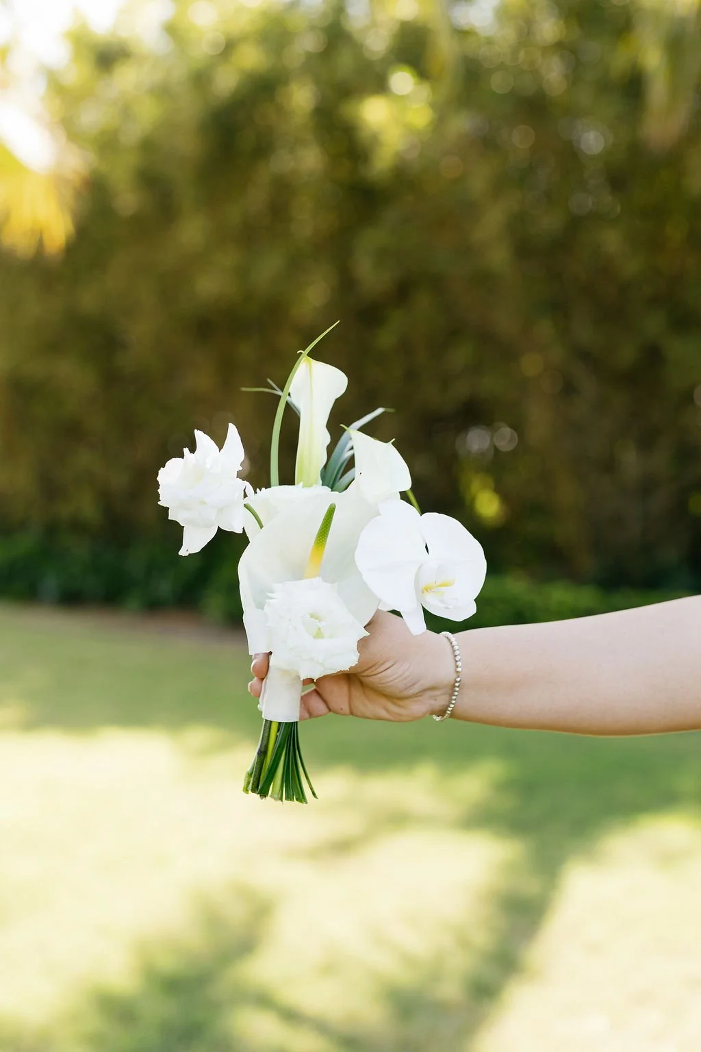 A hand holding a small bouquet of white flowers outdoors on a sunny day.