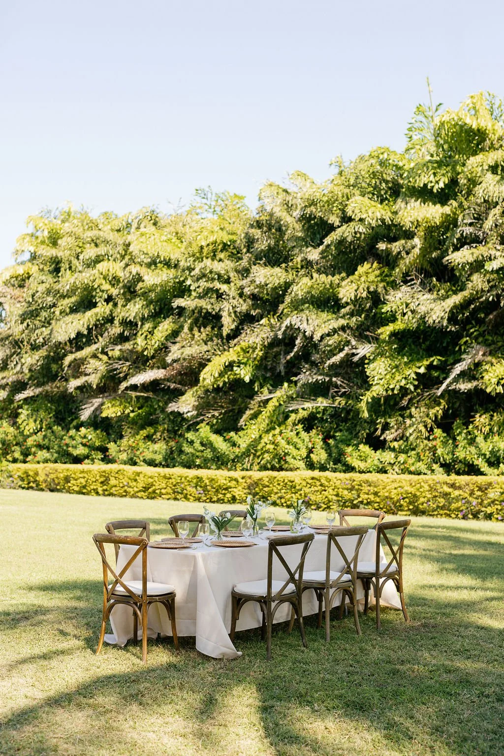 An outdoor dining setup with a round table covered with a white tablecloth, surrounded by wooden chairs with white cushions, set on a grassy lawn with lush green trees in the background.