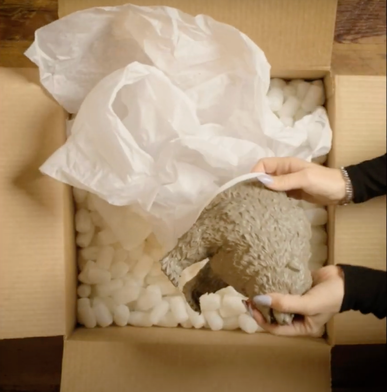 
Social & Digital Highlights