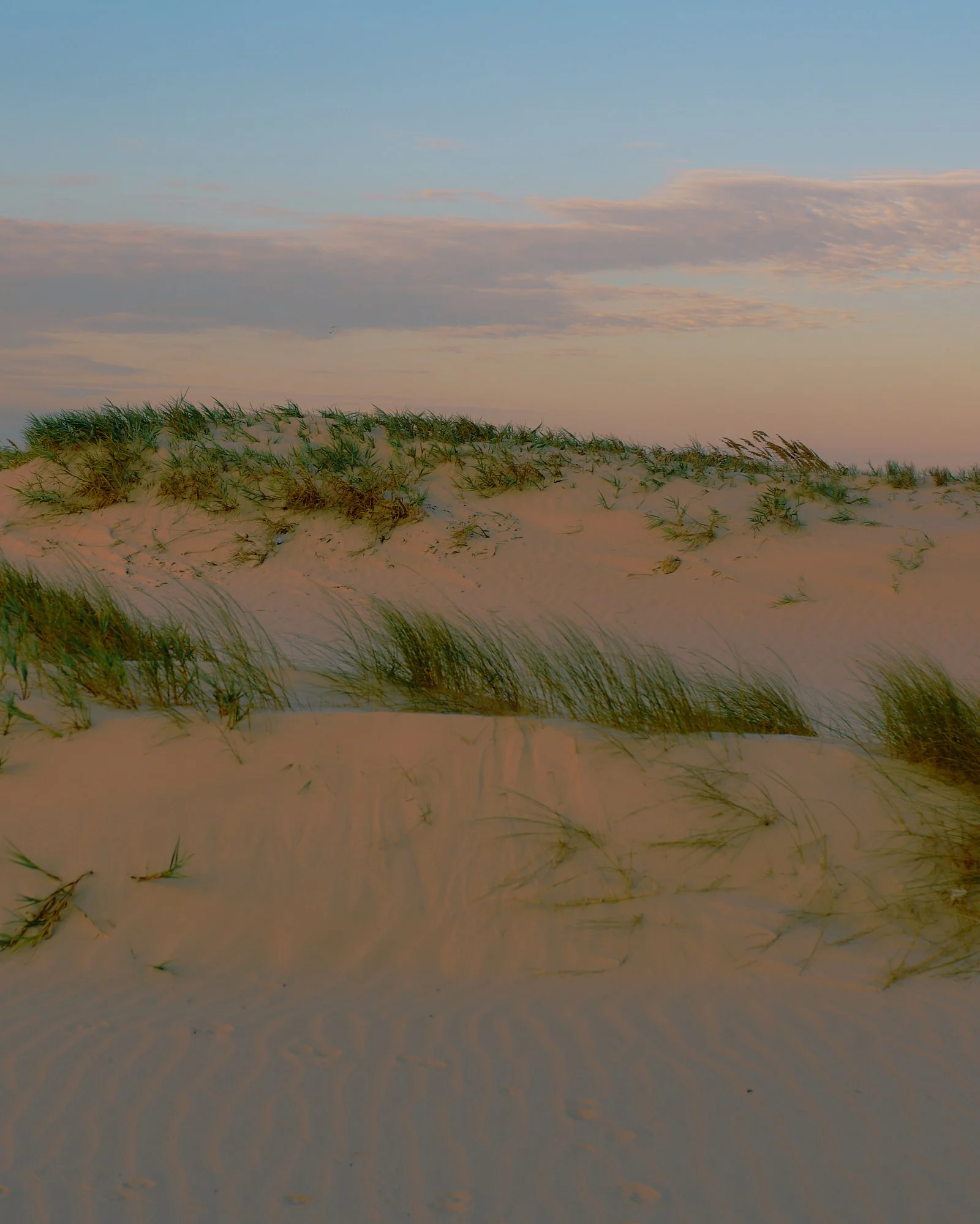 A sandy hill with sparse green grass and plants under a partly cloudy sky at sunset.