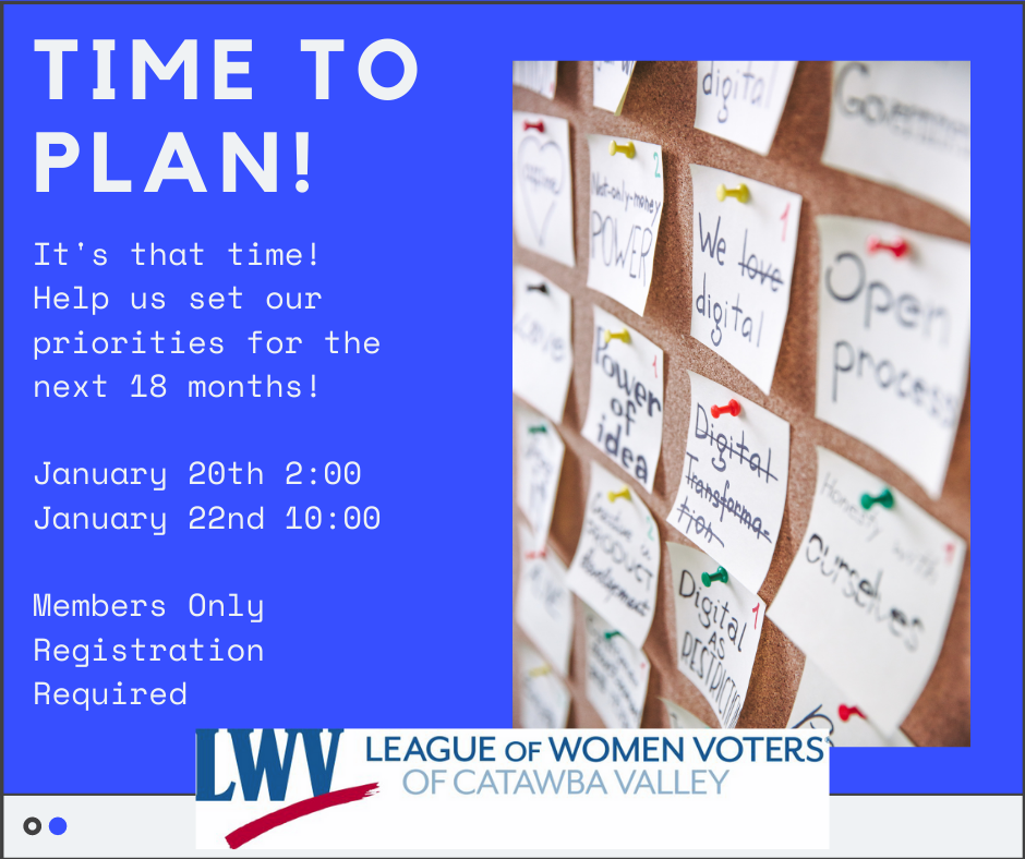 LWV CV Planning Meeting  (Part 2)