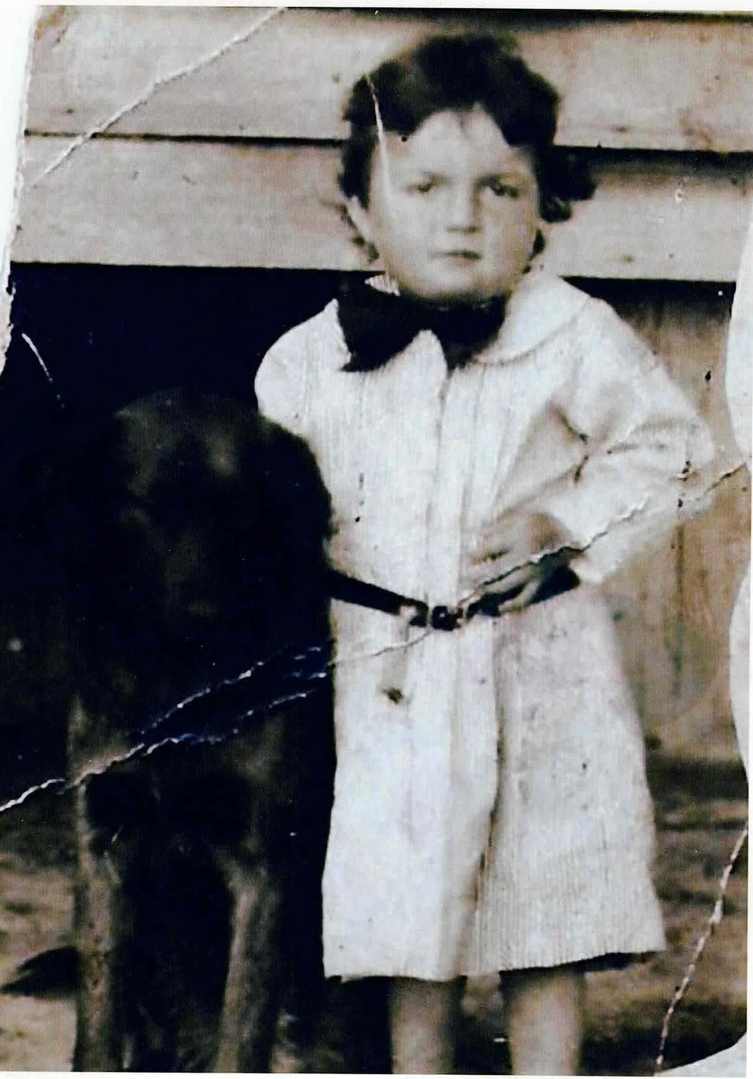 Young Boy and his dog