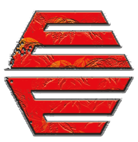 Elevate Digital Marketing Solutions