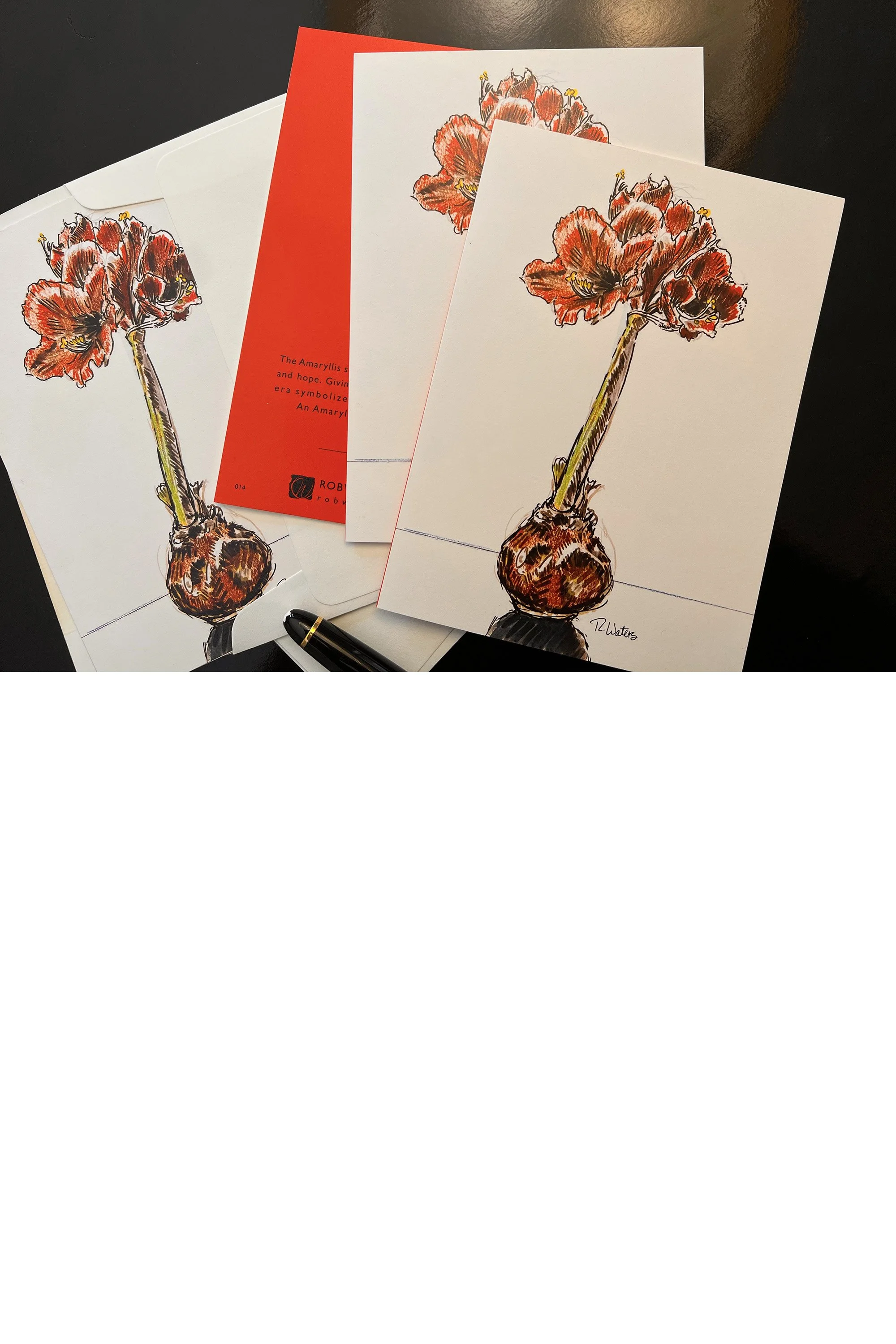 Amaryllis_Holiday_Card_still_life_2000x3000.jpg