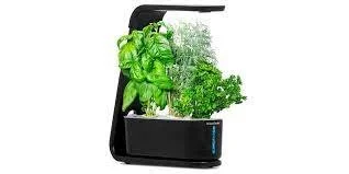 Indoor herb garden kit with LED light, featuring basil, dill, and parsley plants in a modern black planter.