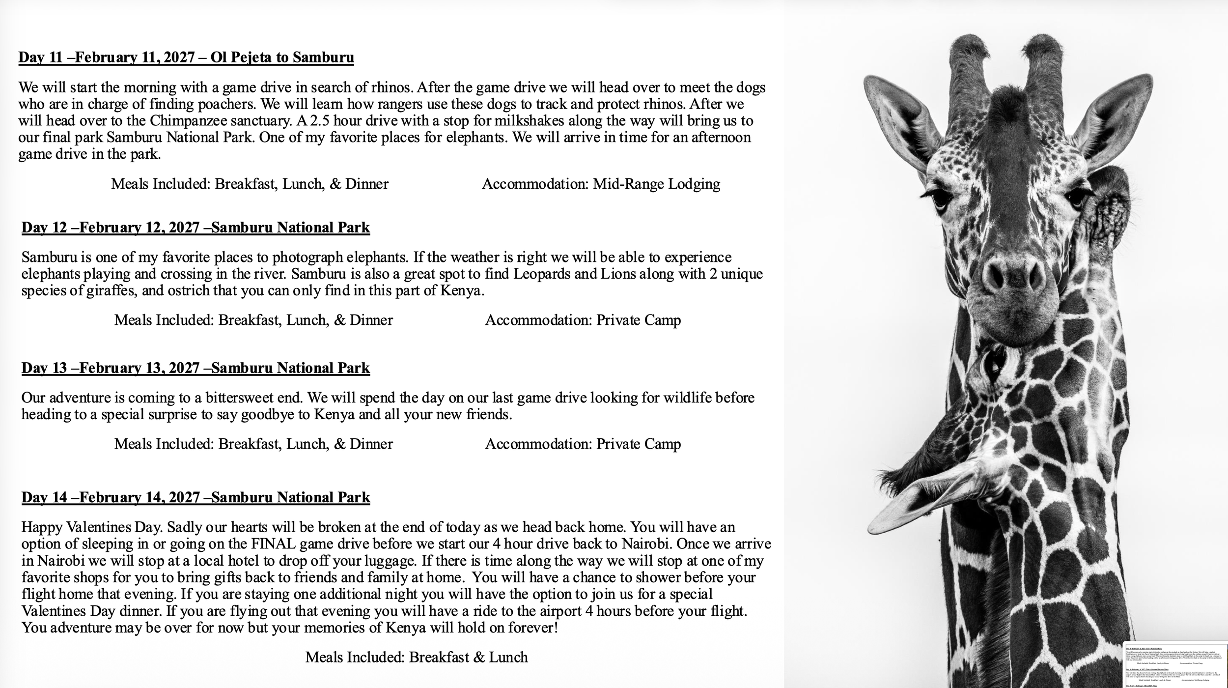 Grand Kenya Wildlife Tour - RW Safaris-6.png