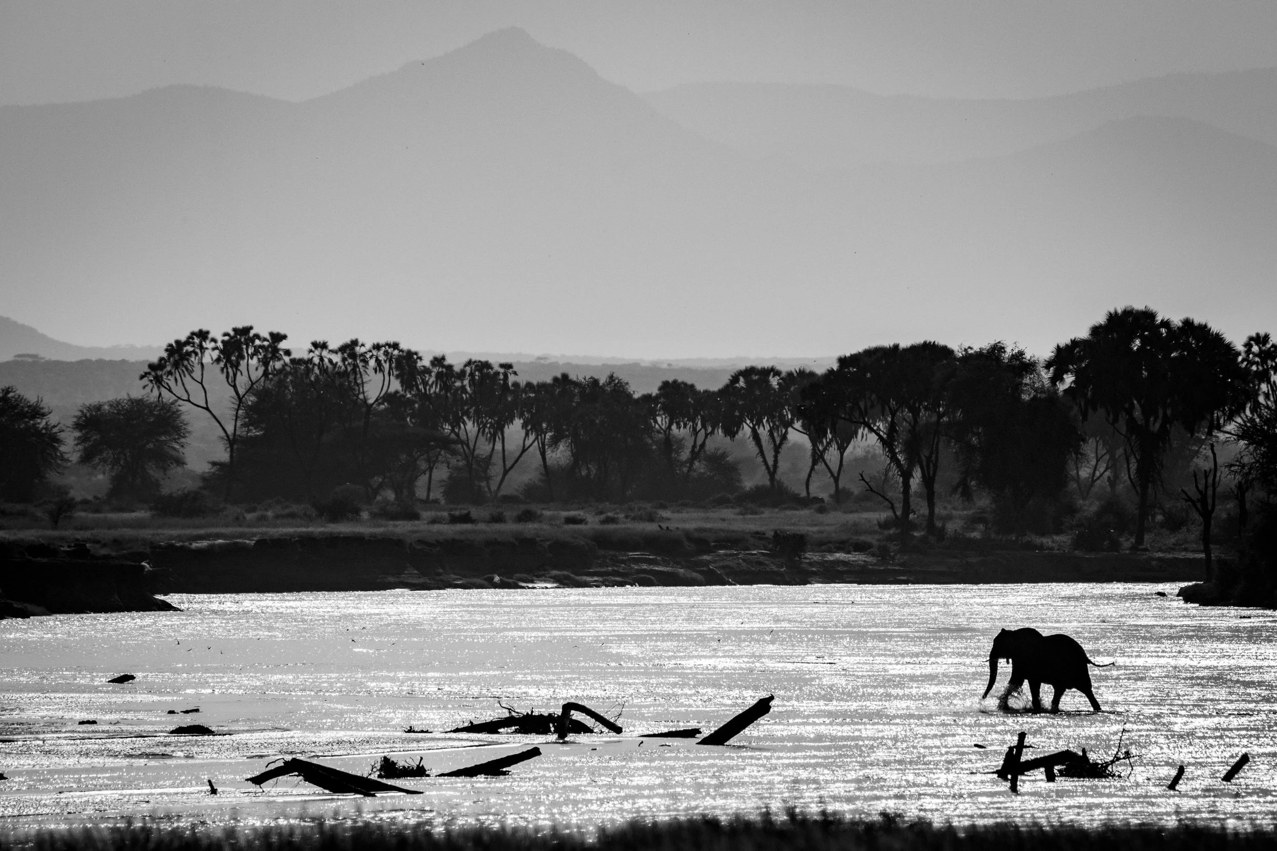 (Jan 19 2020 10-02 AM)NIKON CORPORATION NIKON D85039085568.jpg