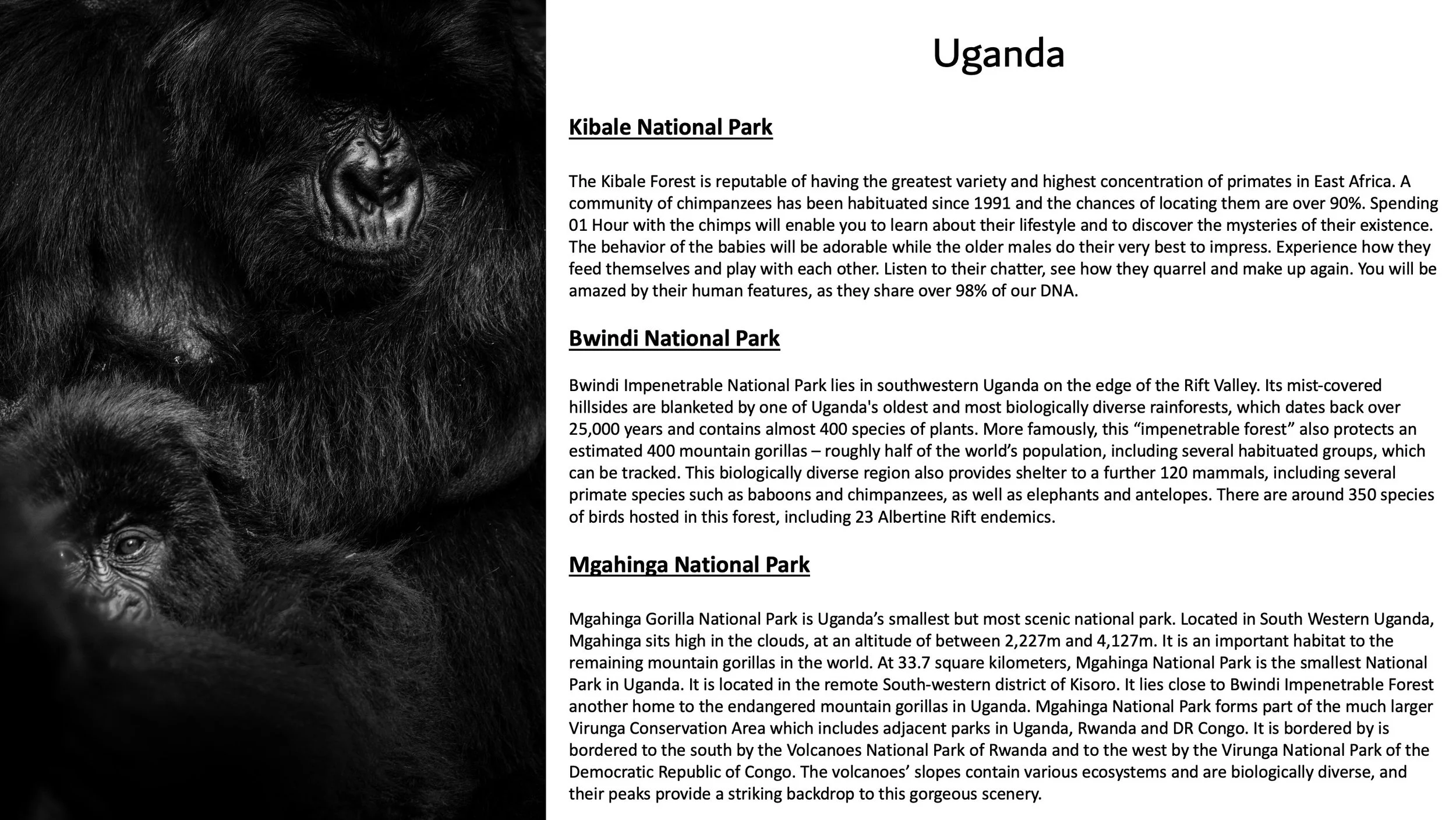 Uganda Gorilla US Group Tours - RW Safaris 