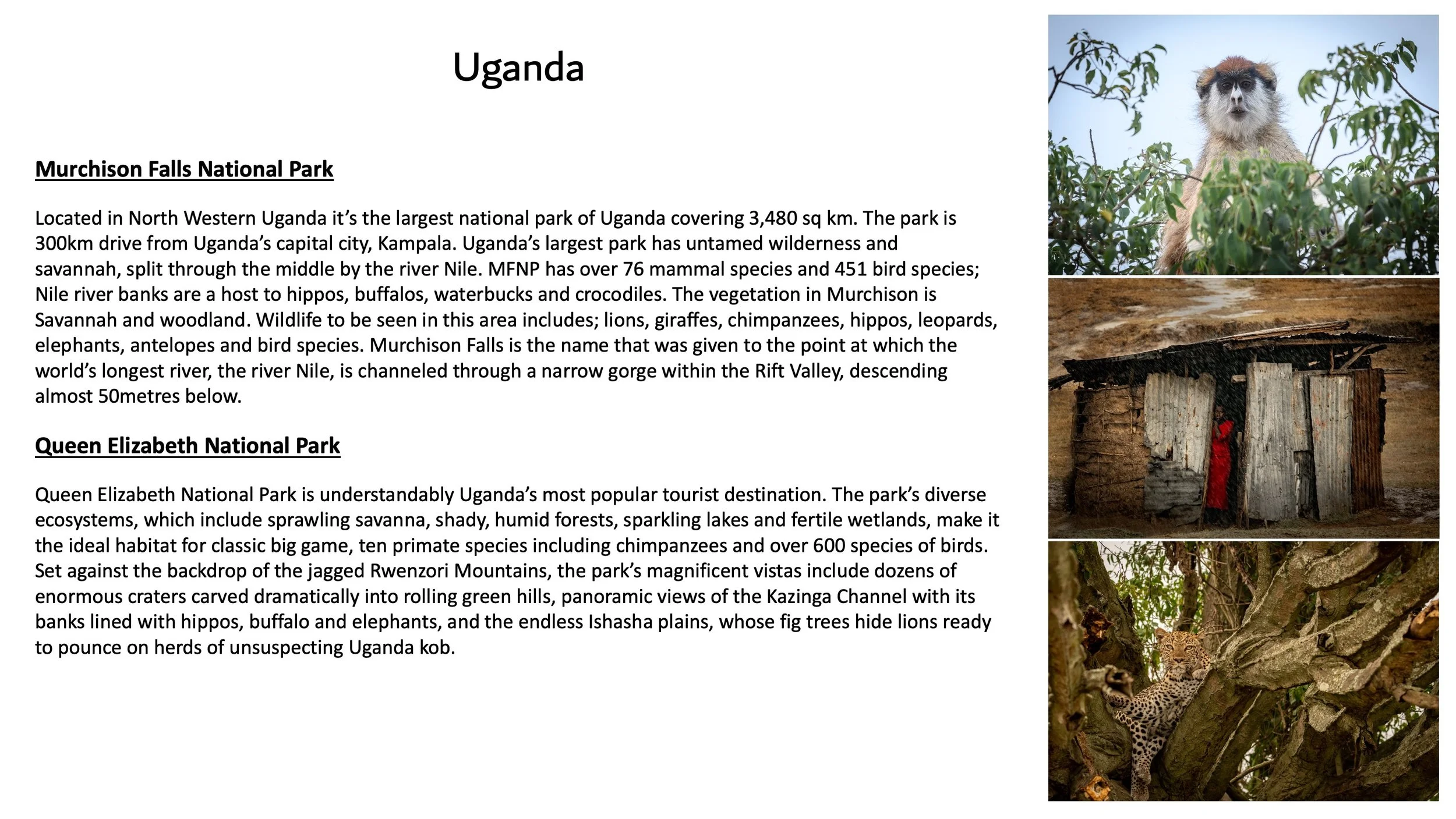 Uganda Gorilla US Group Tours - RW Safaris 