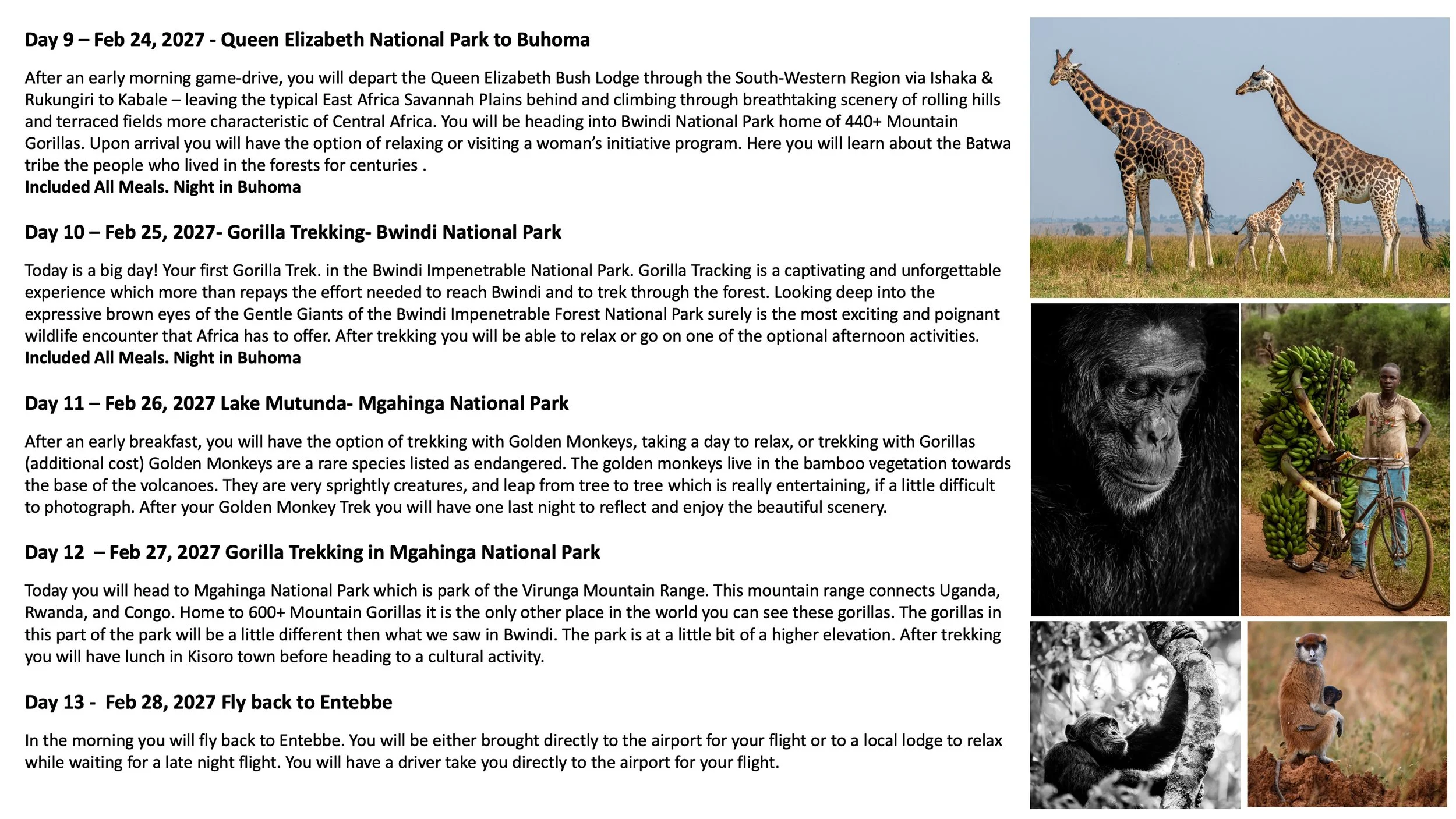 Uganda Gorilla US Group Tours - RW Safaris 