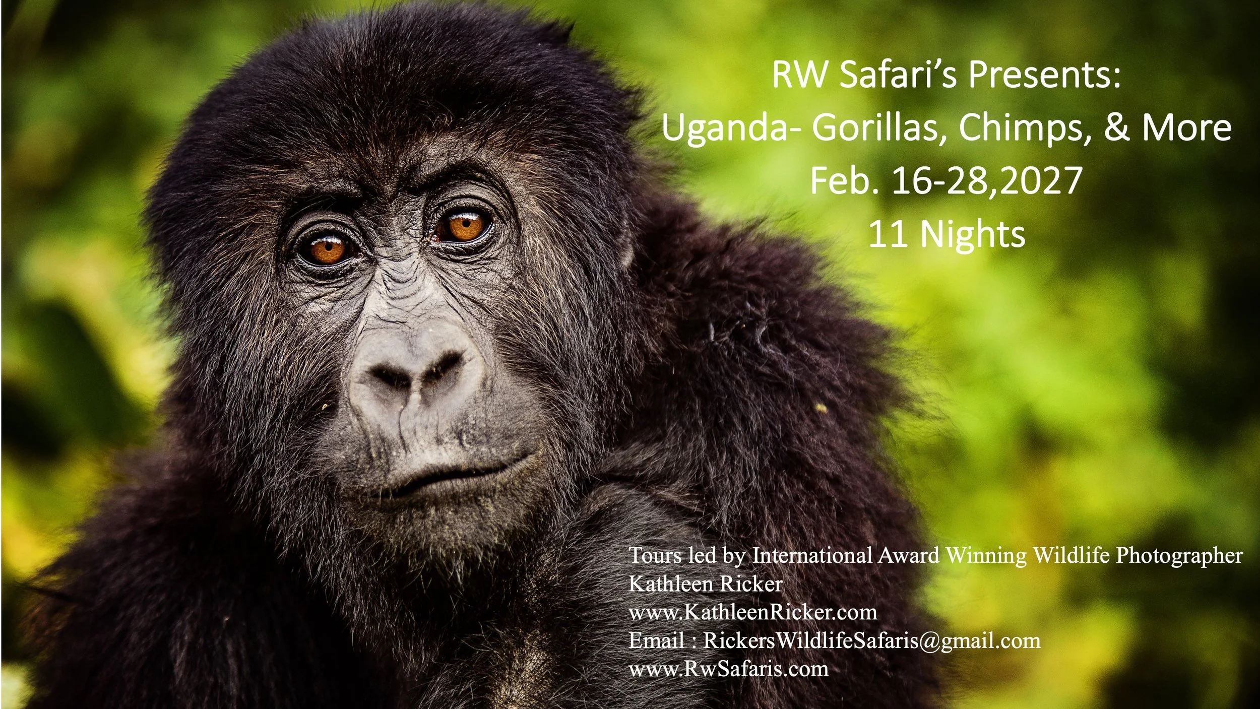 Uganda Gorilla US Group Tours - RW Safaris 